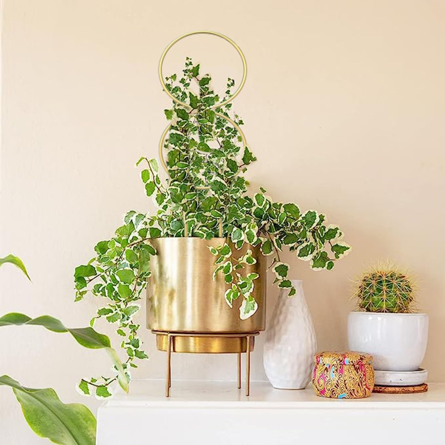 4 Pcs Small Trellis for Potted Plants, Mini Metal Iron Trellis, Rust-Proof Plant Stem Support Stakes, Indoor Potted Plants Holders for Garden Climbing Plant, Hoya, Pothos, Flower, Monstera image number 3