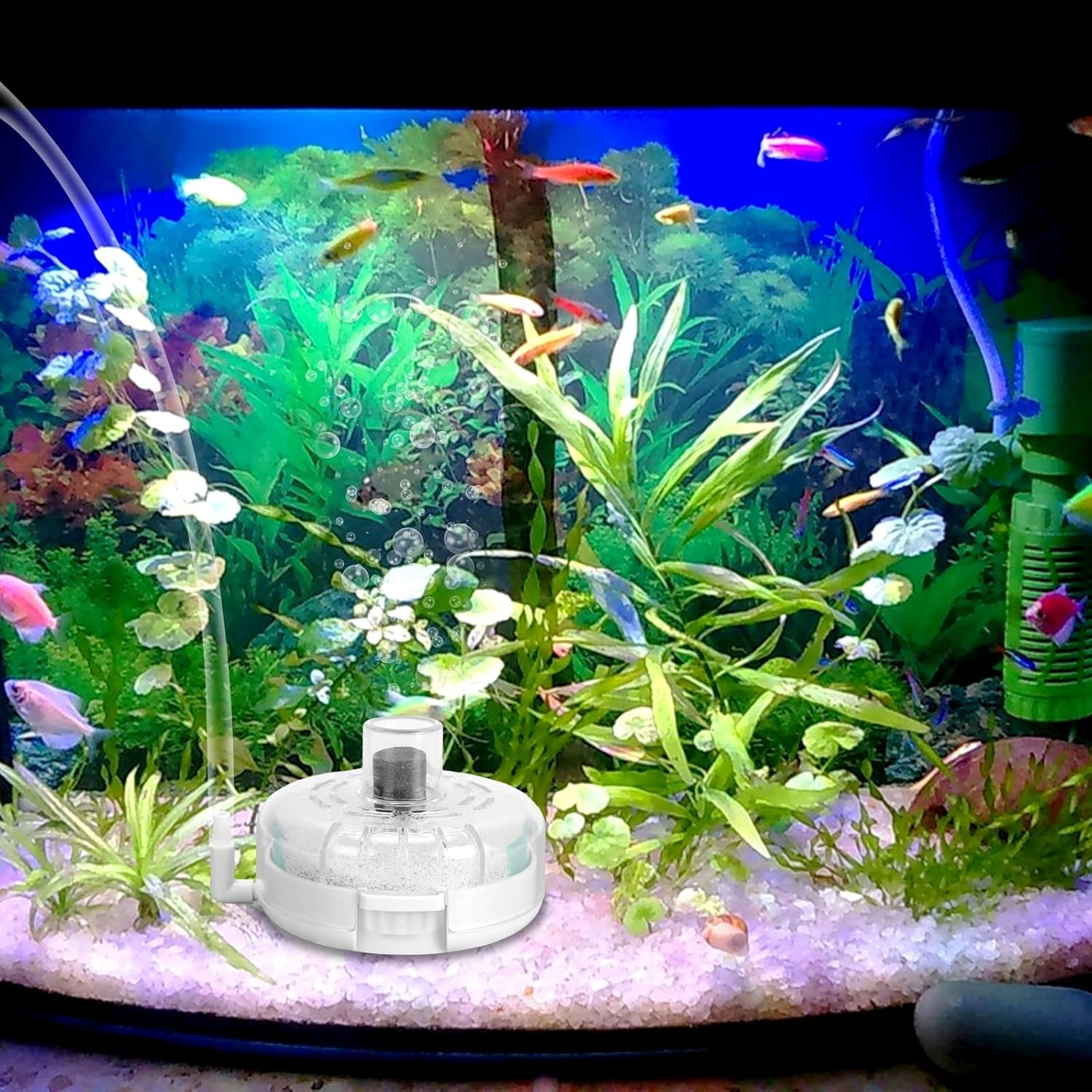 KALIONE Small Aquarium Filter, Mini Aquarium Sponge Filter, Small Filter for Fish Tank, Transparent Turtle Tank Filter, Small Fish Tank Water Filter for 2-6 Gallon Aquarium Betta Fish Tank image number 3