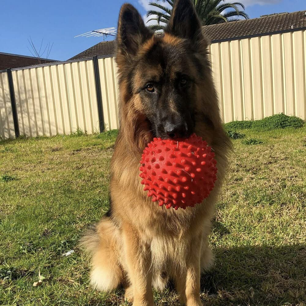 Aussie Dog Products 18Cm Mitch Interactive Hard Ball Pet Play Toy Outdoor Red M image number 3