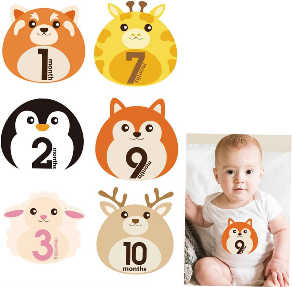 Bestonzon 12 Sheets Monthly Milestone Stickers Self-Adhesive Animal Design Decals for Newborn Belly Photo Props Reusable Growth Tracking image number 4