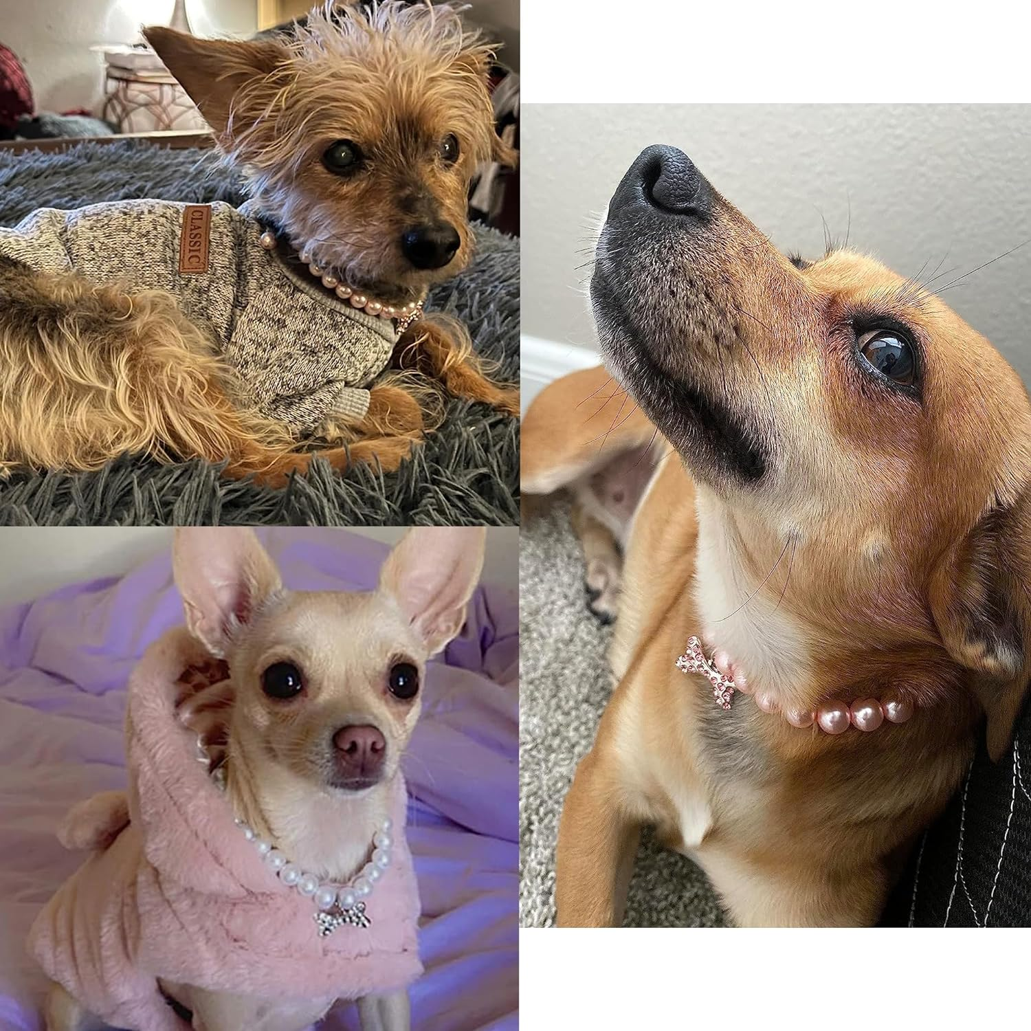 2 Pcs Dog Cat Pearl Collar Necklace with Rhinestone Bone, Fancy Cat Wedding Collar Jewelry for Girl Cat Puppy Dogs Accessories(Pink+White) image number 6