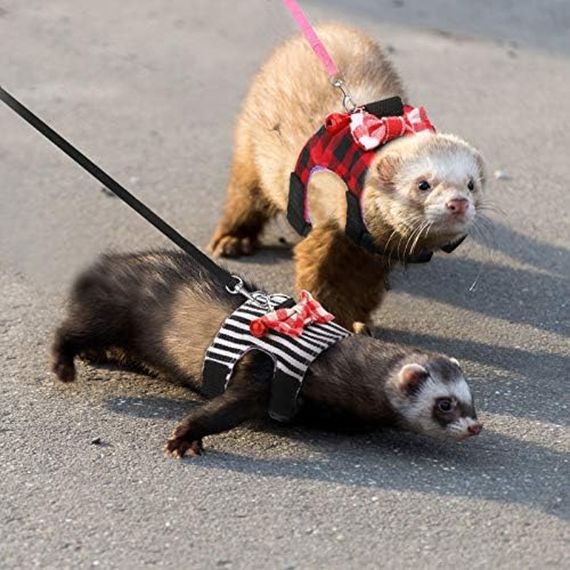 4 Pieces Ferret Harness and Leash Set Ferret Leash Small Pet with Cute Bowknot and Safe Bell Decor Chest Strap Harness for Outdoor Walking Rabbit Guinea Pig Bunny Hamster Puppy Kitten(Small)