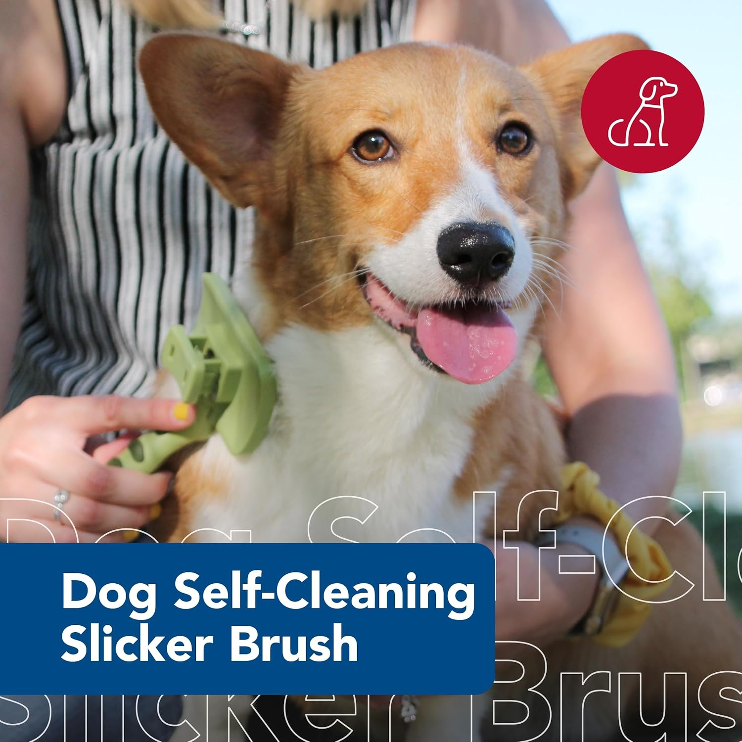 Safari Self-Cleaning Slicker Brush for Dogs (Large), Pet Supplies, Grooming Tools, Accessories, Brushes for Shedding image number 1