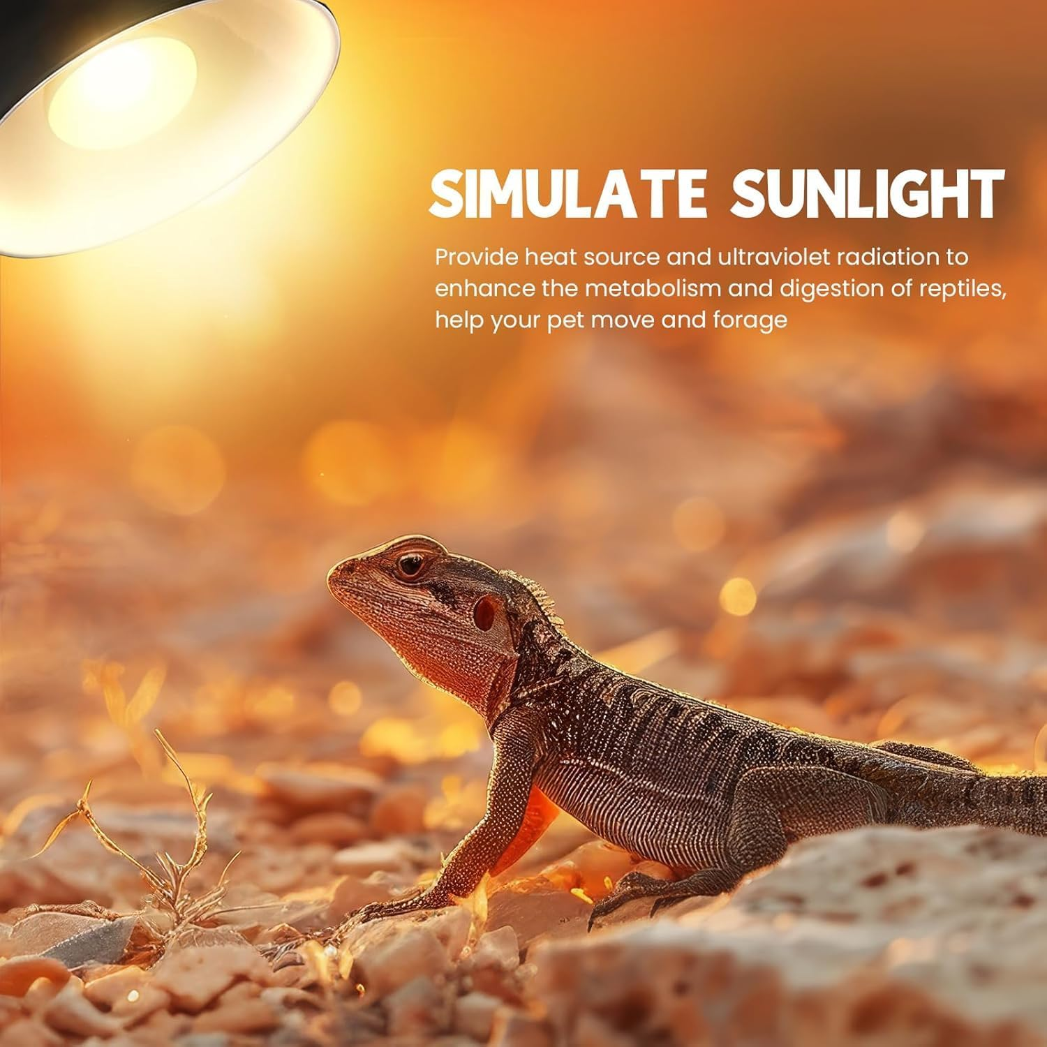 Glowup 100 W Heat Lamp Turtles E27 R80 Daylight Sun Spotlight and Infrared Heater 220 V Reptile Lamp Terrarium Heat Lamp UV Lamp Tortoise for Lizards, Turtles, Chicks image number 2