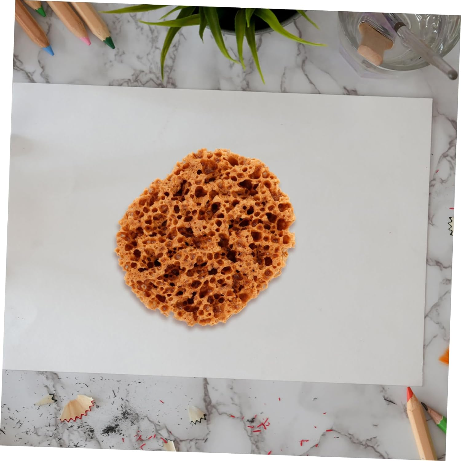 Natural Sea Sponge for Painting and Art Supplies, Large M88Kg Printed Pattern Sponge for Artists, Texturing and Wall Painting Tool Suitable for Drywall and Creative Projects image number 3