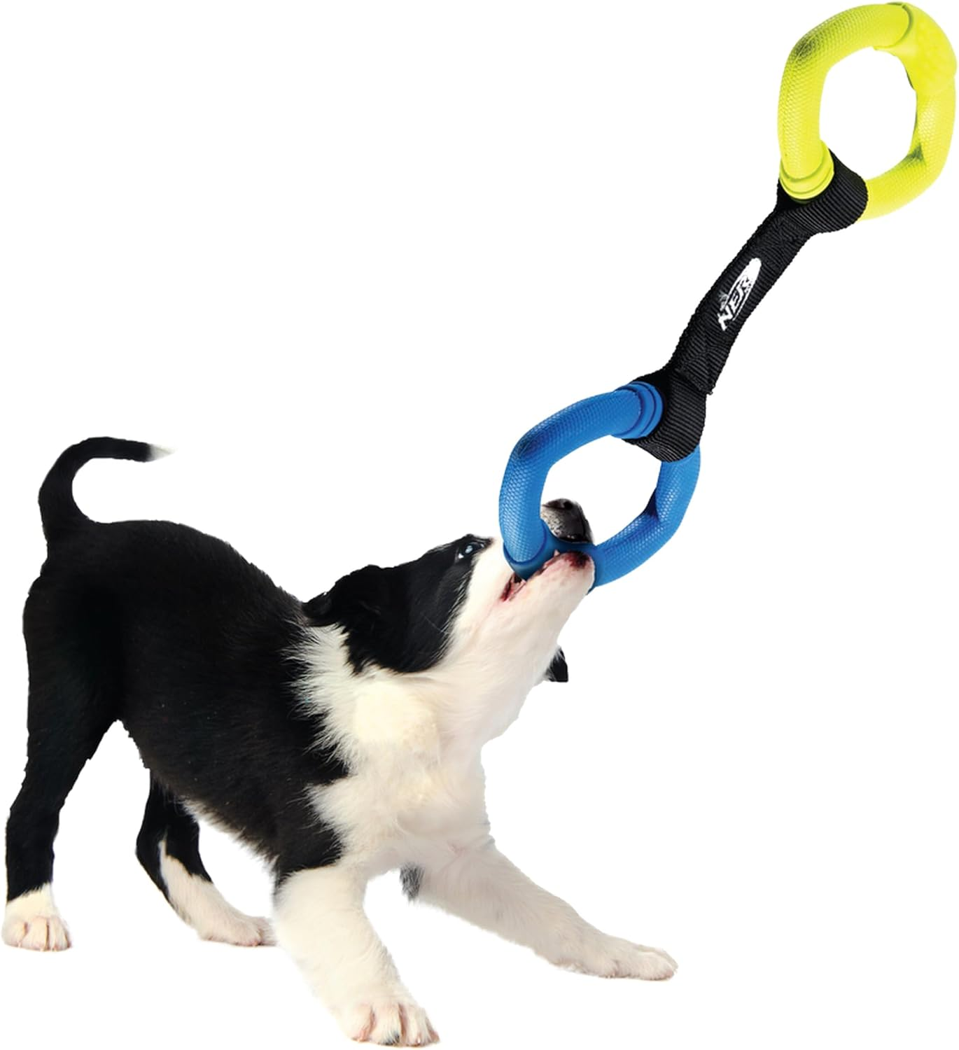 Nerf Dog Two Ring Strap Tug 33 Cm (13 Inches) image number 2