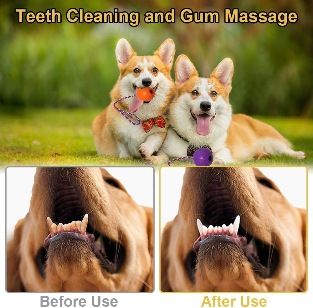 4 Balls with Cord Dog, Diameter 5/30 Cm, Dog Ball with Cord, Dog Toy Ball with Rope, Throwing Ball Dog, Soft and Elastic Solid Rubber Ball for Large and Small Dogs, Throwing, Catching (Red, Yellow, image number 5