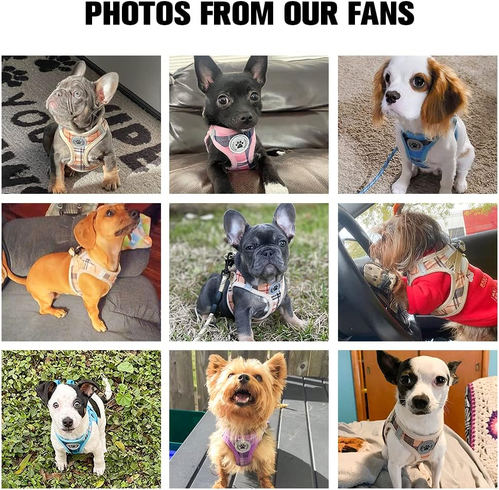 BEAUTYZOO Small Dog Harness and Leash Set,Step in No Choke No Pull Soft Mesh Dog Harnesses Reflective for Extra-Small Medium Puppy Dogs and Cats, Plaid Dog Vest Harness for XS S Pets, Grey XS image number 3