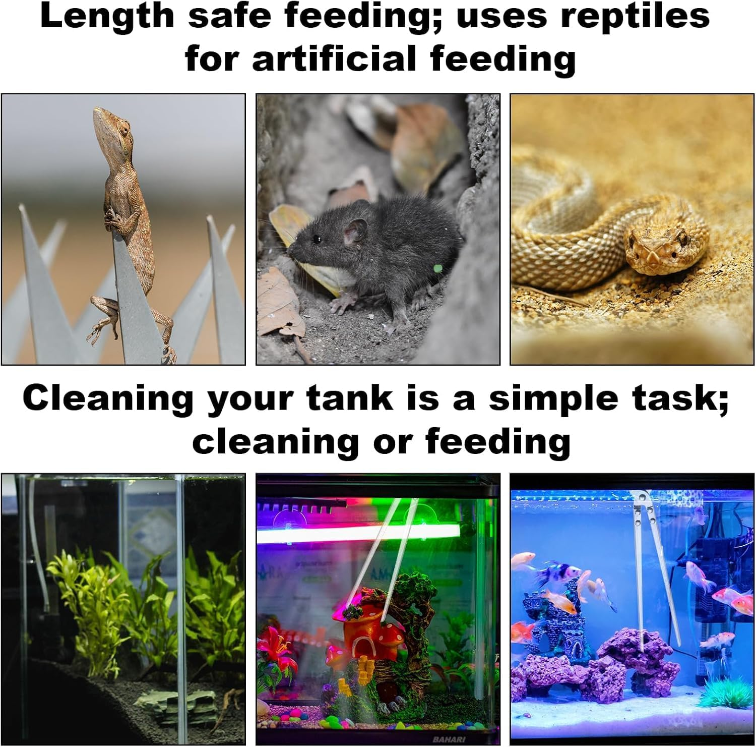 Anti-Skid Snake Feeding Tong Reptile Feeding Tong, 2Pcs Anti-Skid Stainless Steel Reptile Feeding Tong,Anti-Skid Stainless Steel Snake Feeding Tong,Anti-Skid Stainless Steel Snake Reptile Feeding Tong image number 2