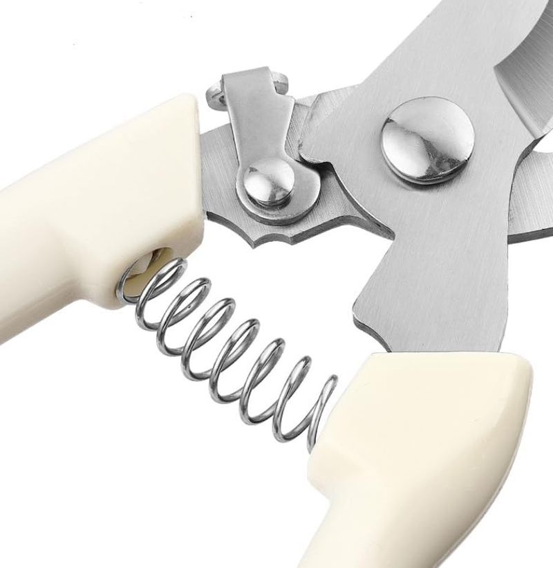 AUPOINT 2-Piece Stainless Steel Pruning Shears Set, Spring-Loaded, 1 Straight and 1 Curved