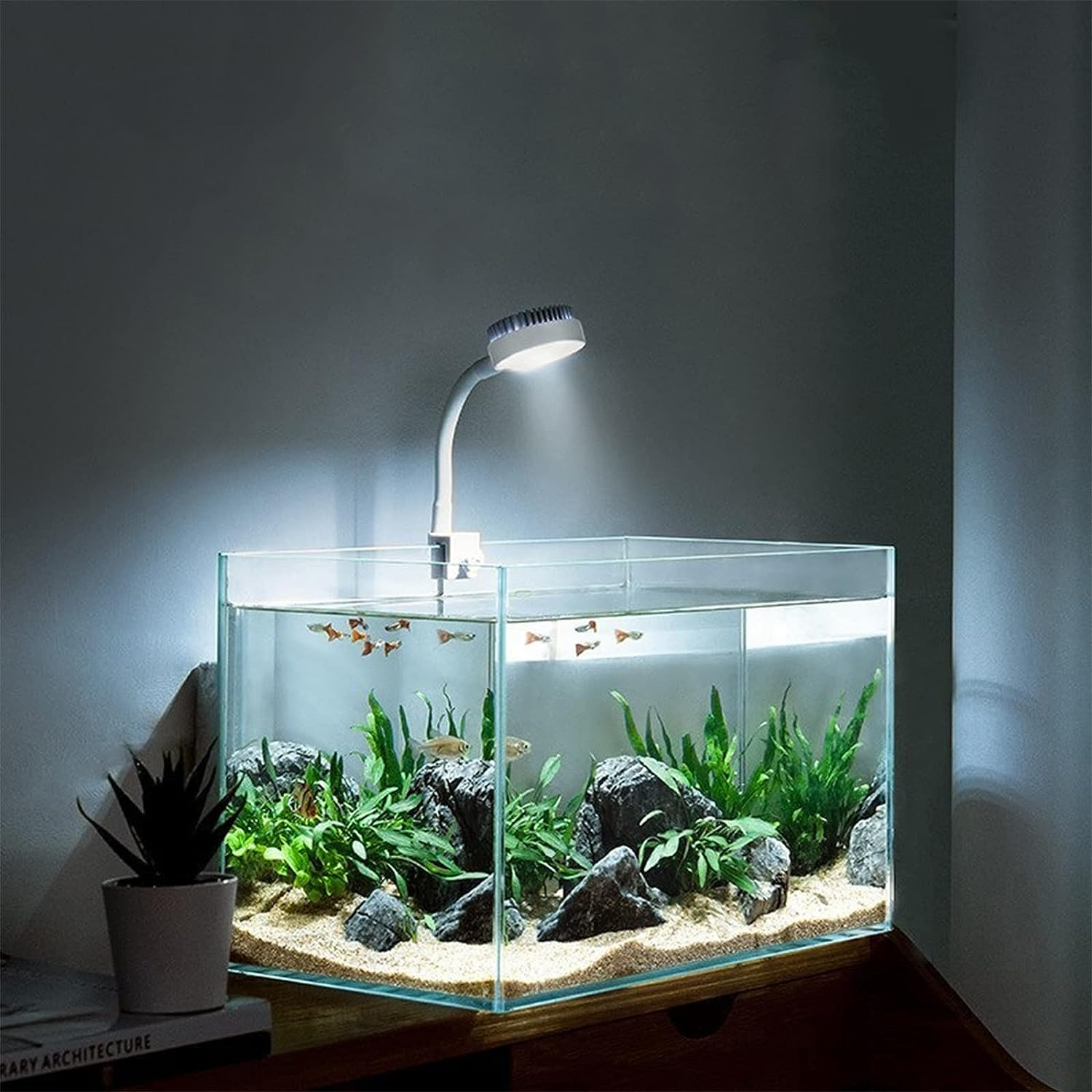 Bigtron Full Spectrum Aquarium Light, Small Clip Light for Fish Tank