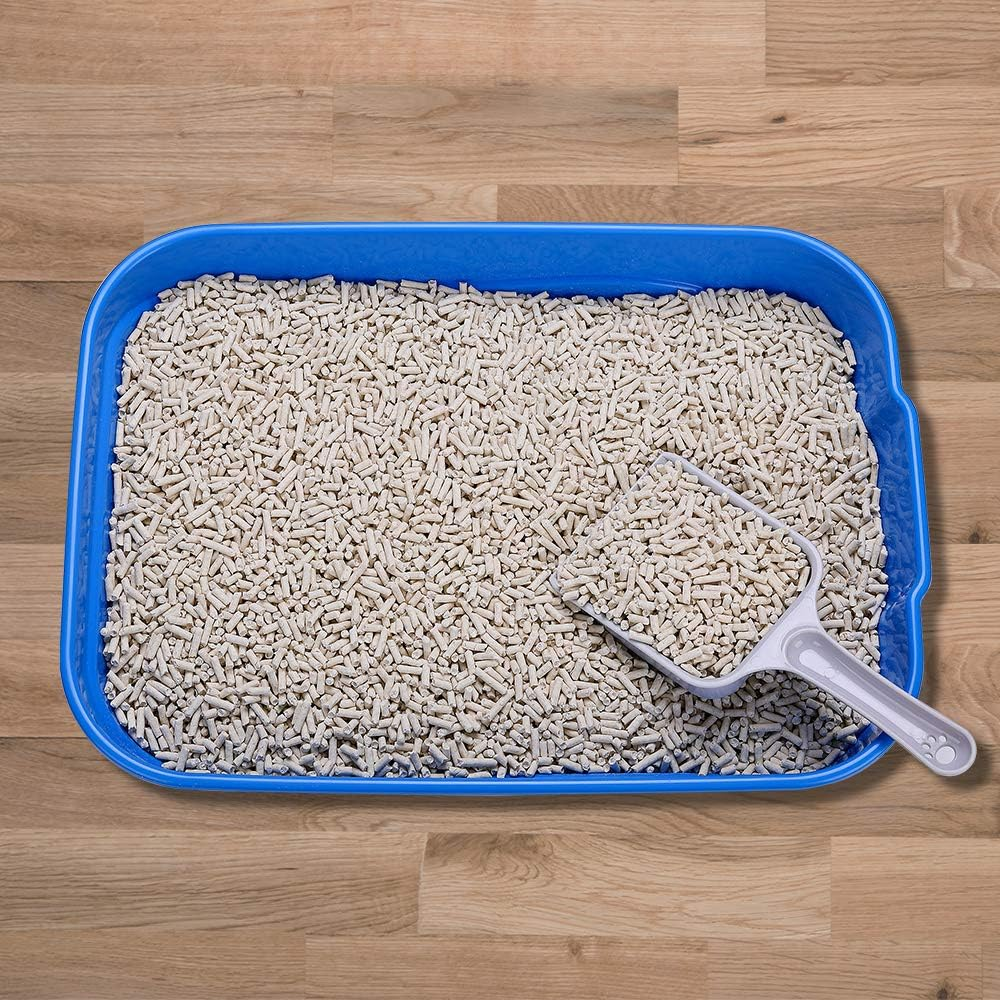 Kitty Litter Box Starter Kit - Small Cat Litter Pan without Lid, Litter Mat, Scoop and Bowl for Kitten within 3 Months (Greyscoop) image number 1