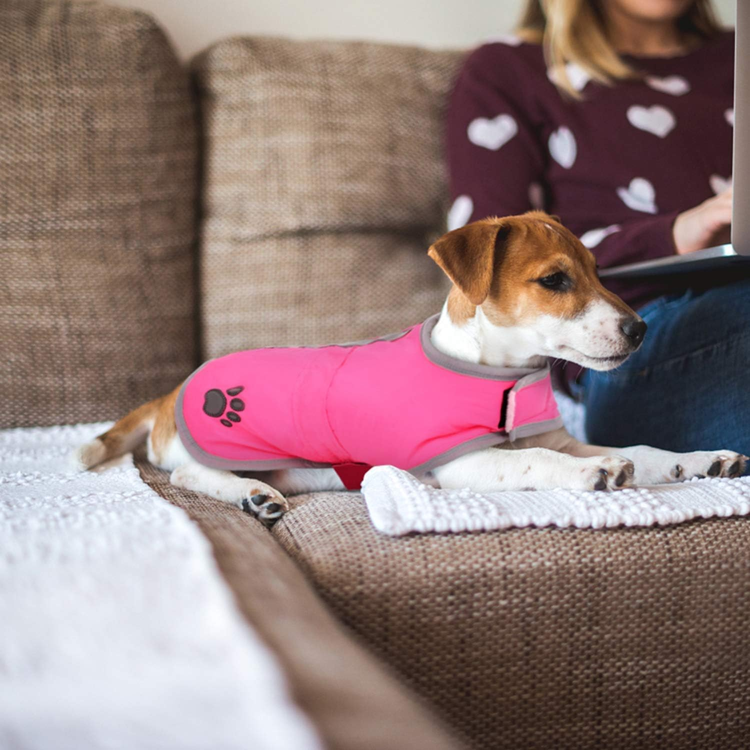 Cold Weather Dog Coats Loft Reversible Winter Fleece Dog Vest Waterproof Pet Jacket Available in Extra Small, Small, Medium, Large Extra Large Sizes image number 2