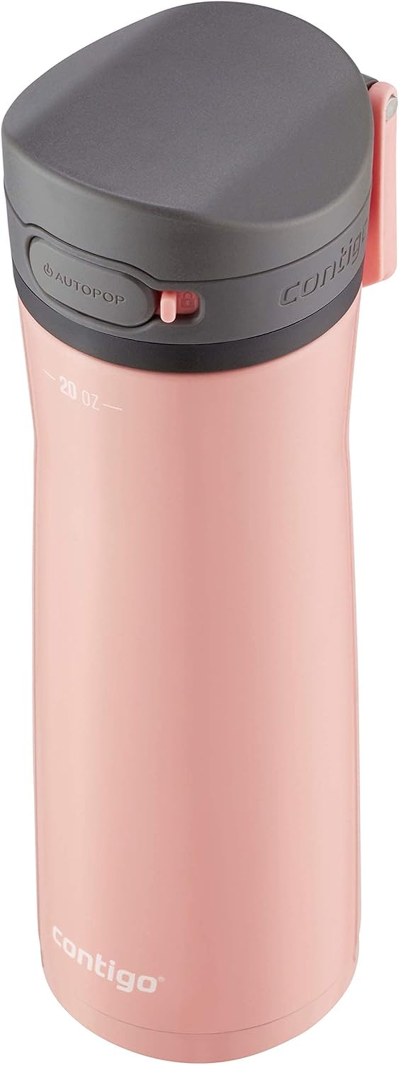 Contigo Jackson Chill Autopop Water Bottle 591Ml - Double-Walled Vacuum Insulated, One-Handed AUTOPOP&reg; Leak-Proof Lid with Protective Cover, Wide Mouthpiece, Secure Button Lock - Stainless Steel