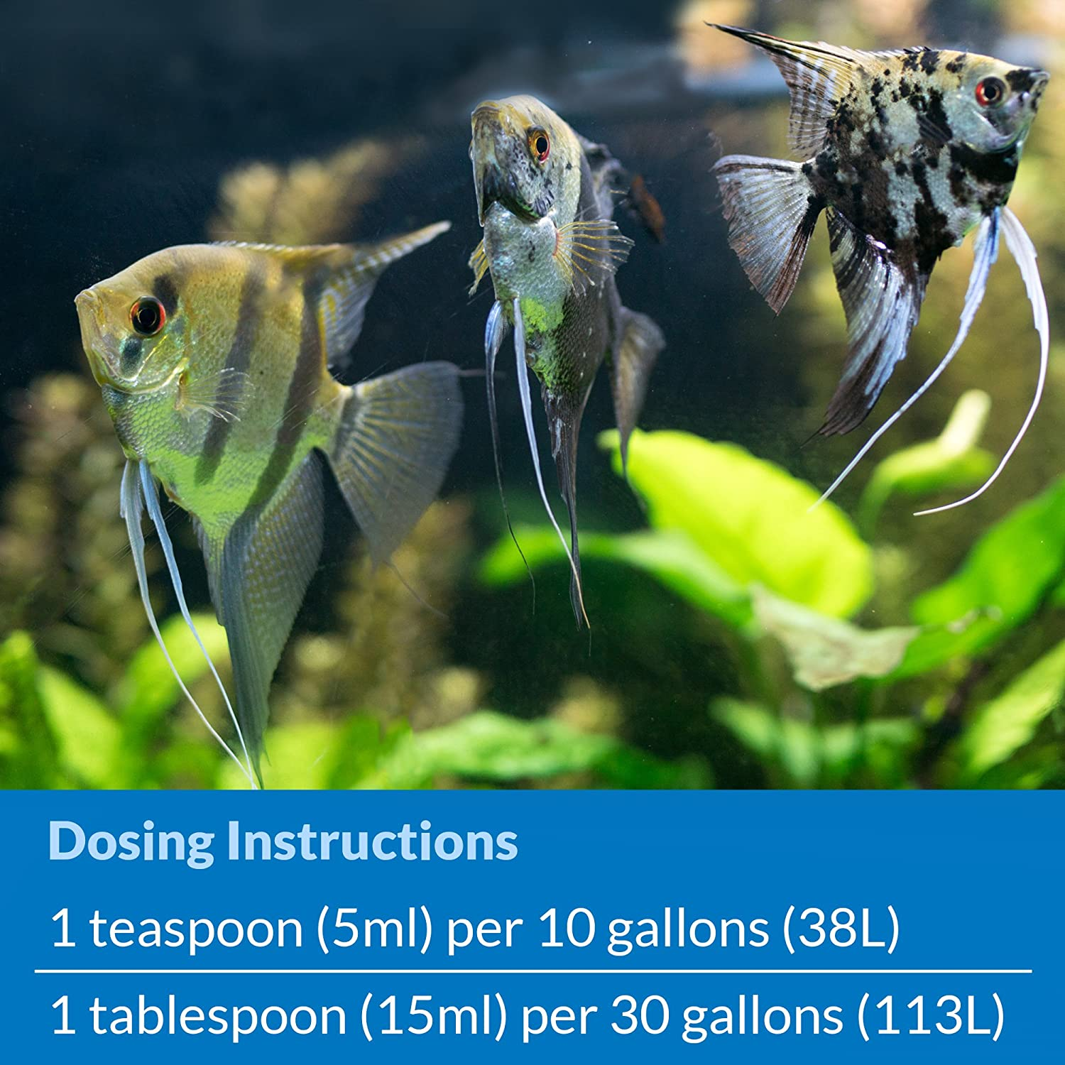 API Stress Zyme Water Treatment, 30 ML image number 2