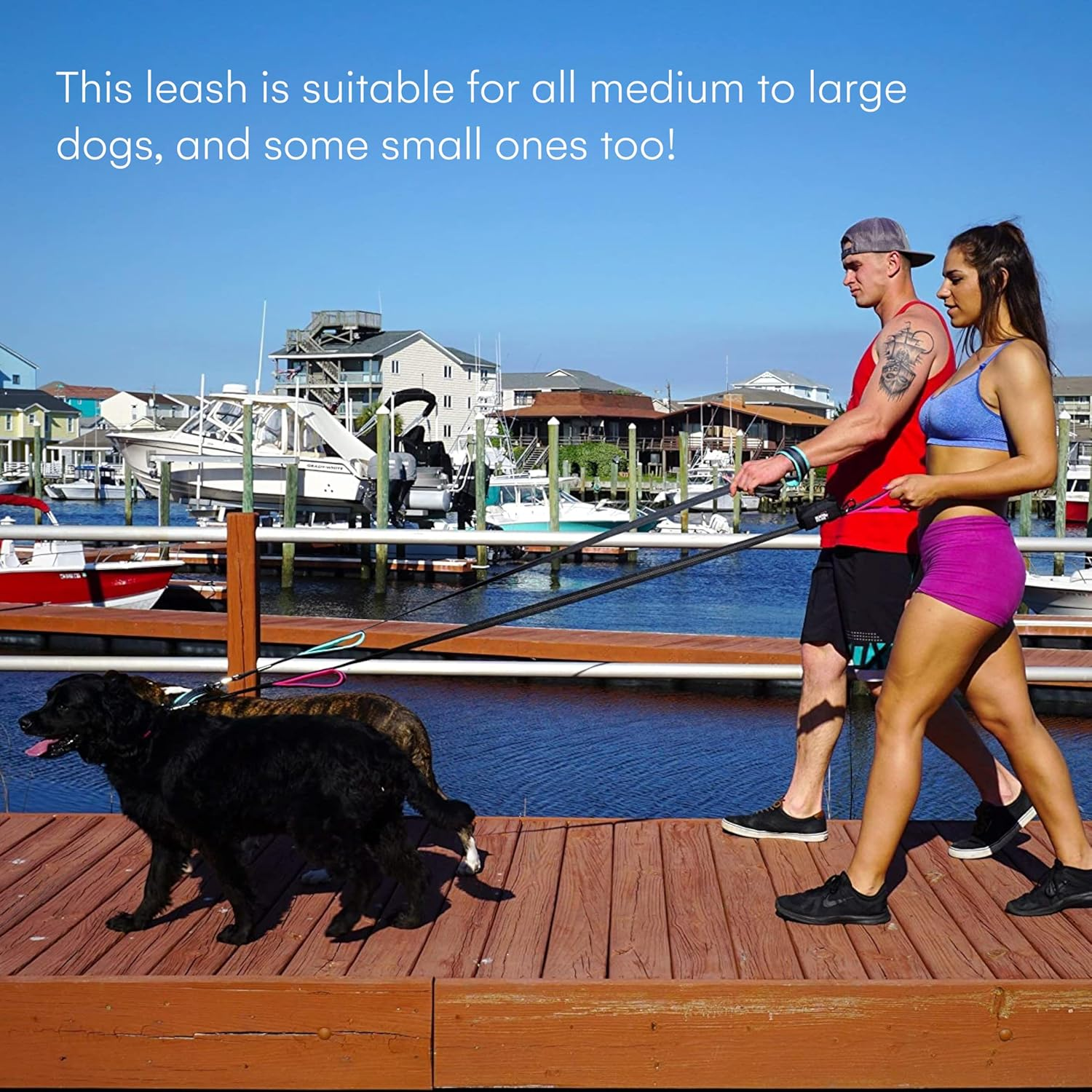 Black Rhino Dog Leash - Heavy Duty - Medium & Large Dogs | 6Ft Long Leashes | Two Traffic Padded Comfort Handles for Safety Control Training - Double Handle Reflective Lead - (Pink) image number 5