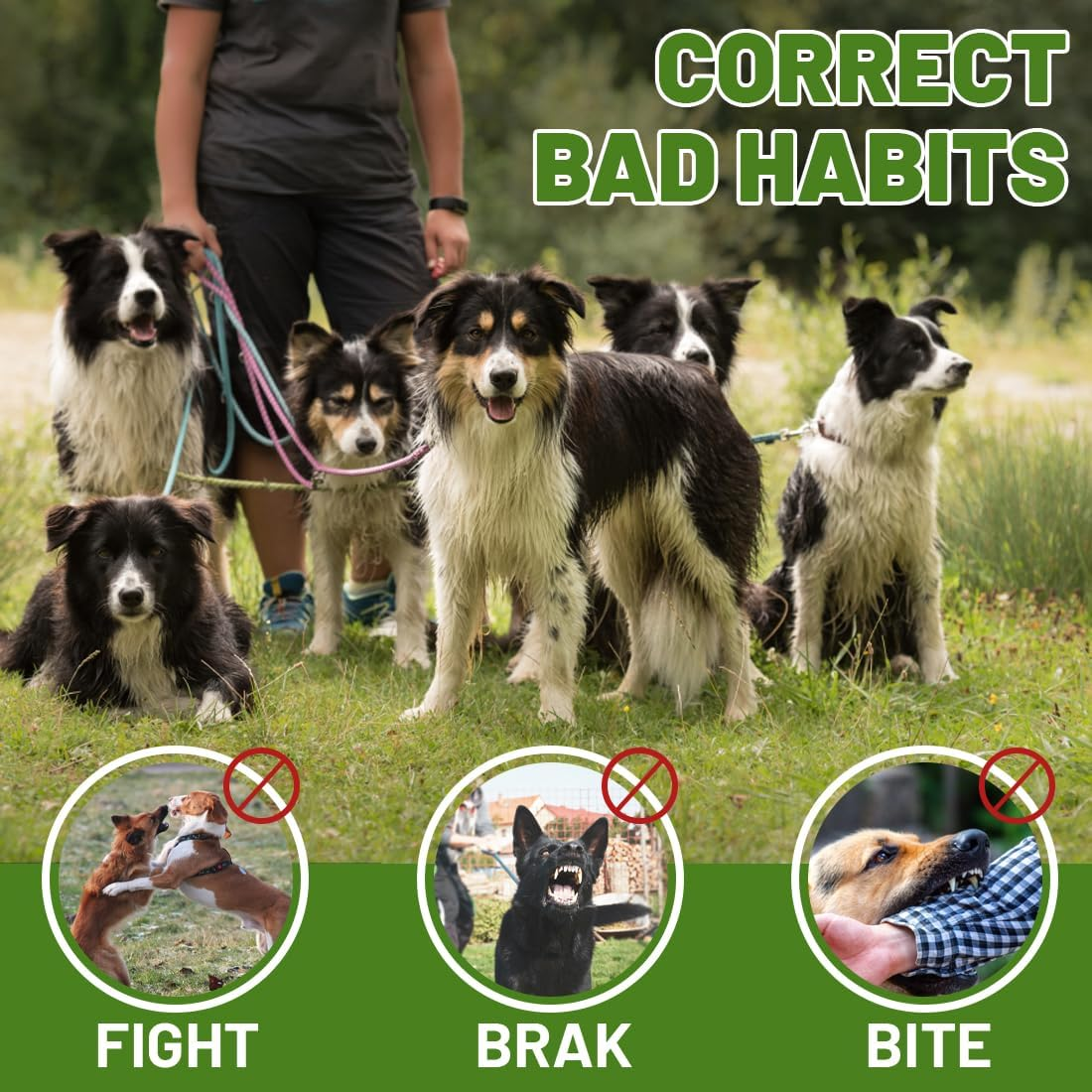 Tomedeks 1 Piece Dog Training Aid Effective Pet Training Equipment Outdoor Home image number 1