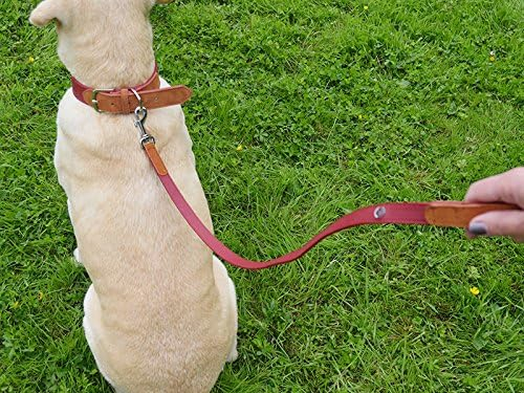 Rosewood Luxury Leather Soft Touch Dog Collar, Red, Small