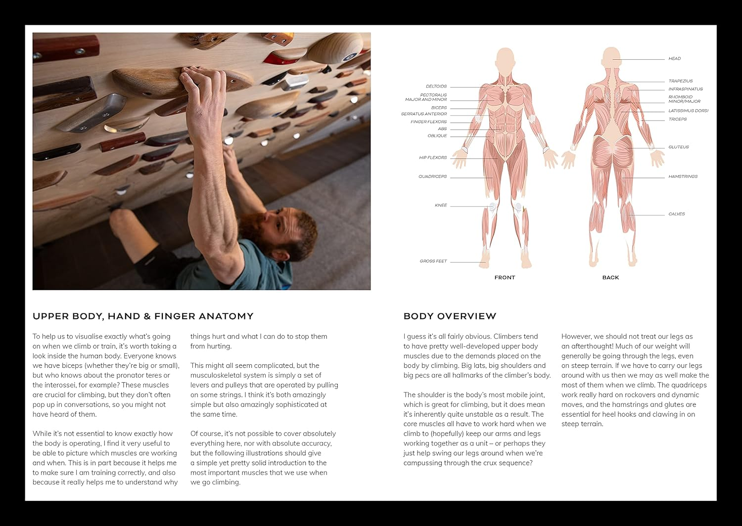 Beastmaking: a Fingers-First Approach to Becoming a Better Climber image number 1