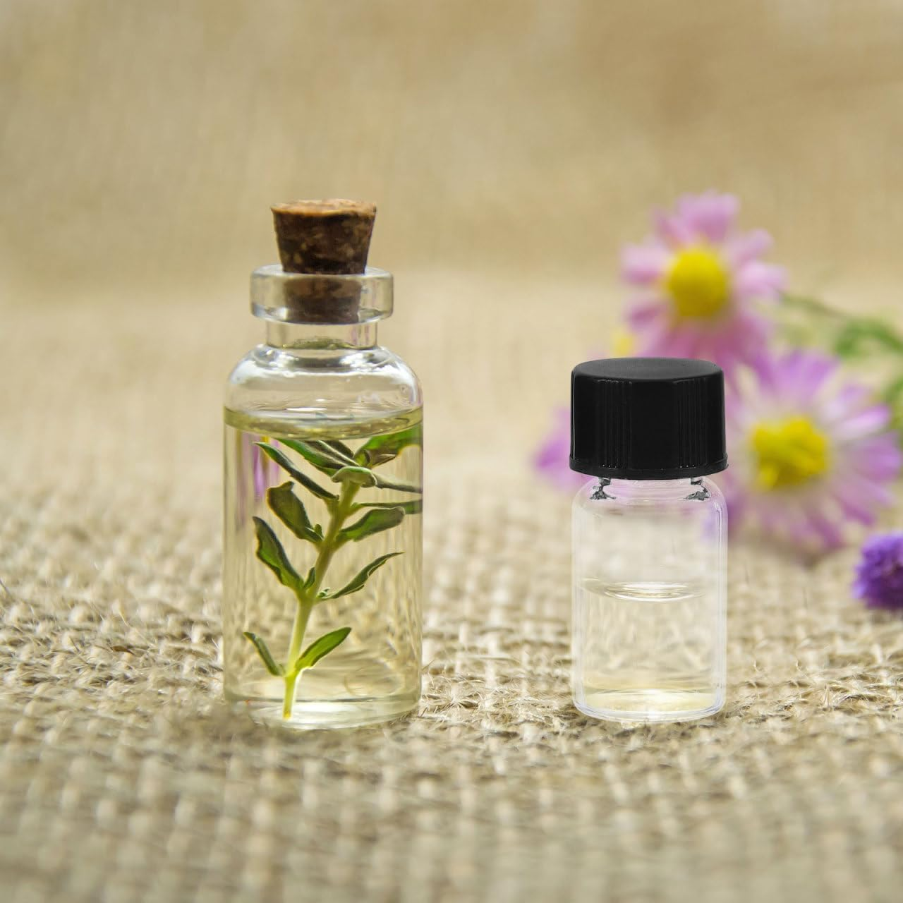 10 Pcs Clear Glass Vials with Screw Caps Small Liquid Sample Vials 3Ml Leak-Proof Vial for Water Samples, Pill, Essential Oil