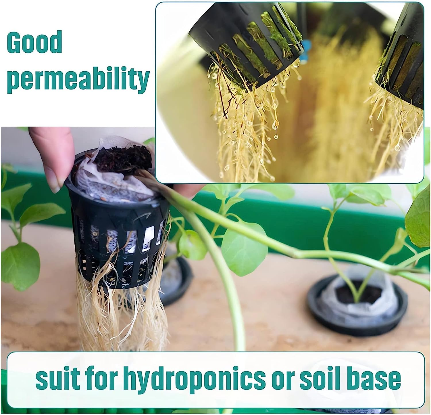100 Pack Garden Slotted Mesh Net Cups, 2" round Hydroponic Net Pots Cups, Wide Lip Bucket Basket for Hydroponics for Hydroponics & Aquaponics, Indoor and Outdoor Plant Growth, Multi-Purpose image number 2