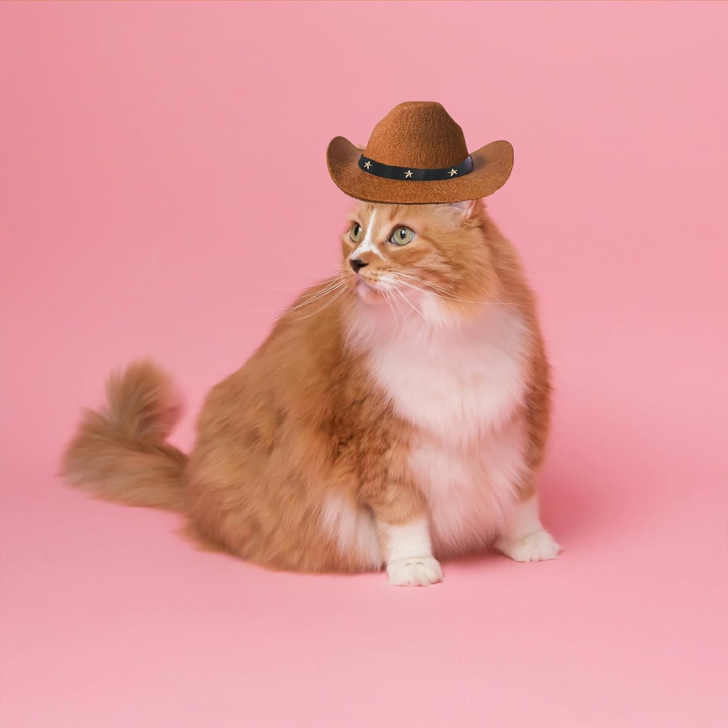 AWOCAN Pet Dog Cowboy Hat Cosplay Cap Puppy Pet Dog Cat Holiday Costume Pet Party Decoration image number 5