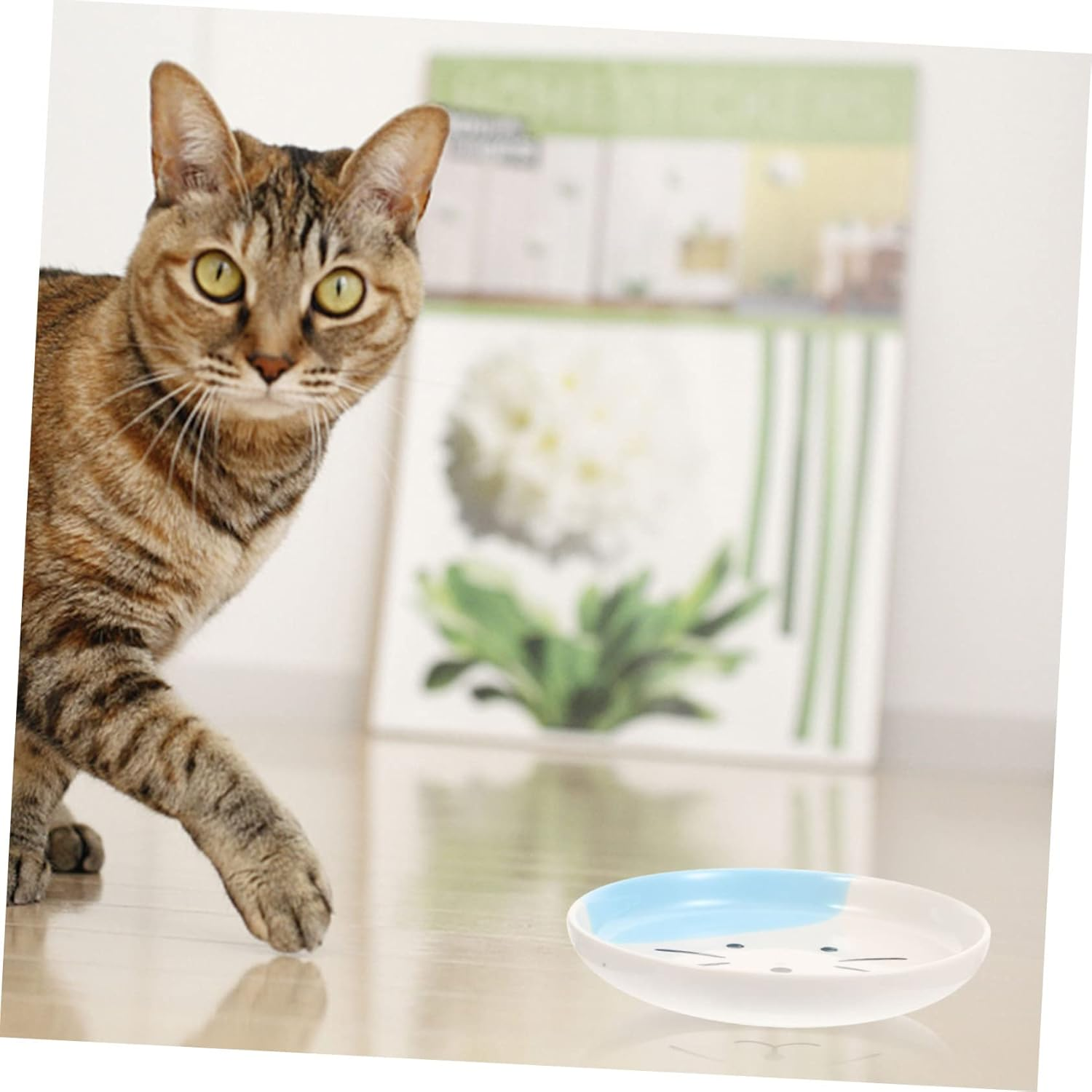 WOONEKY Ceramic Cat Bowl - Whisker Relief Food and Water Dish, Flat Plate for Cats and Dogs, Reusable Feeding Plate image number 5