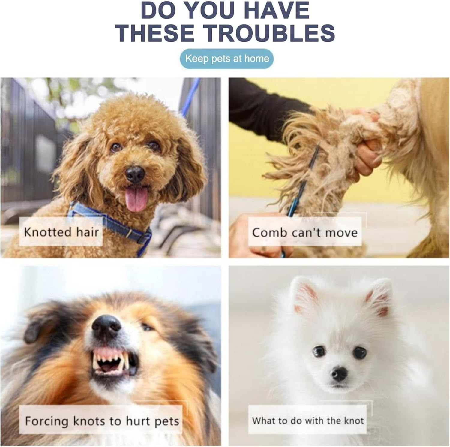 TYXHXTF 4 Pieces Pet Combs, Pet Grooming Brush, Dog Brushes for Grooming, Dematting Comb for Dogs and Cats, Fur Detangling Tool for Pets image number 5