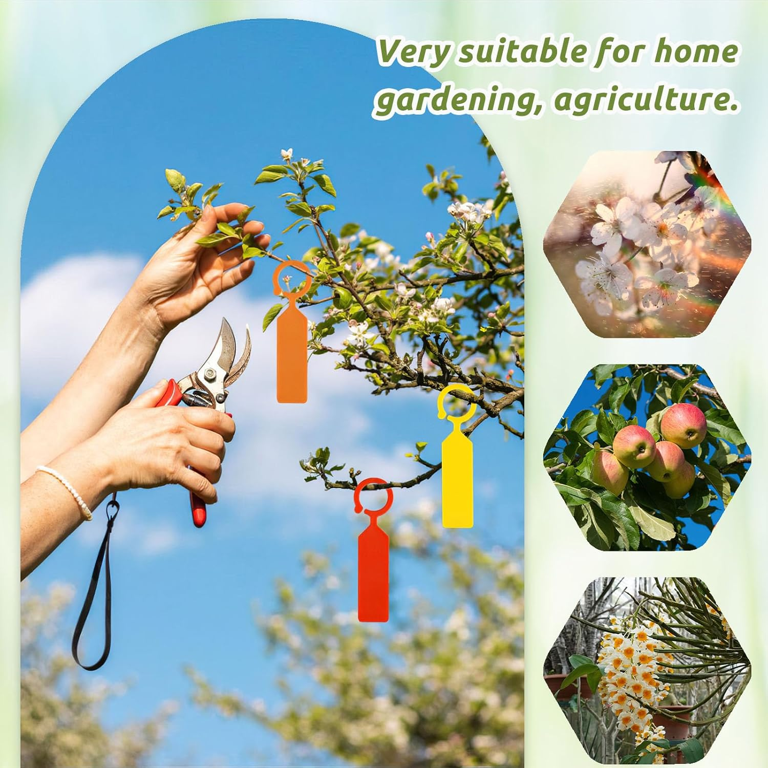 160 PCS Plastic Plant Labels, Plant Tags for Outdoor Garden Waterproof, Hanger Tags for Plants, Potted Plants, Nurseries, Trees, Gardening (Colorful) image number 6