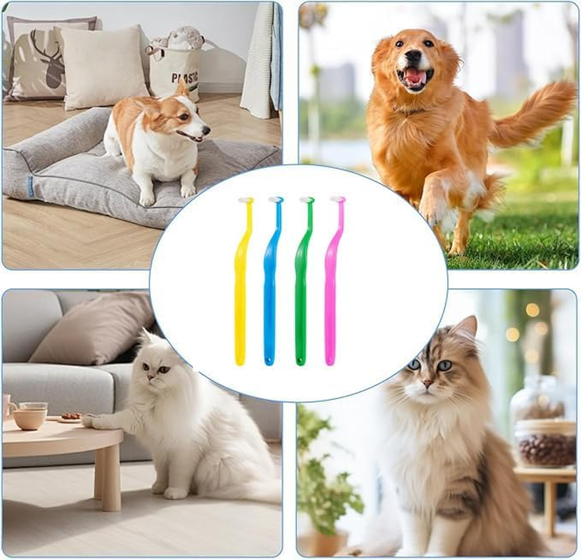 4PCS Small Dog & Cat Toothbrush Kit &ndash; Micro Head, Soft Bristles for Tiny Pets, Deep Dental Cleaning for Puppies, Kittens, Chihuahuas & More | Gentle Curved Neck Design image number 5