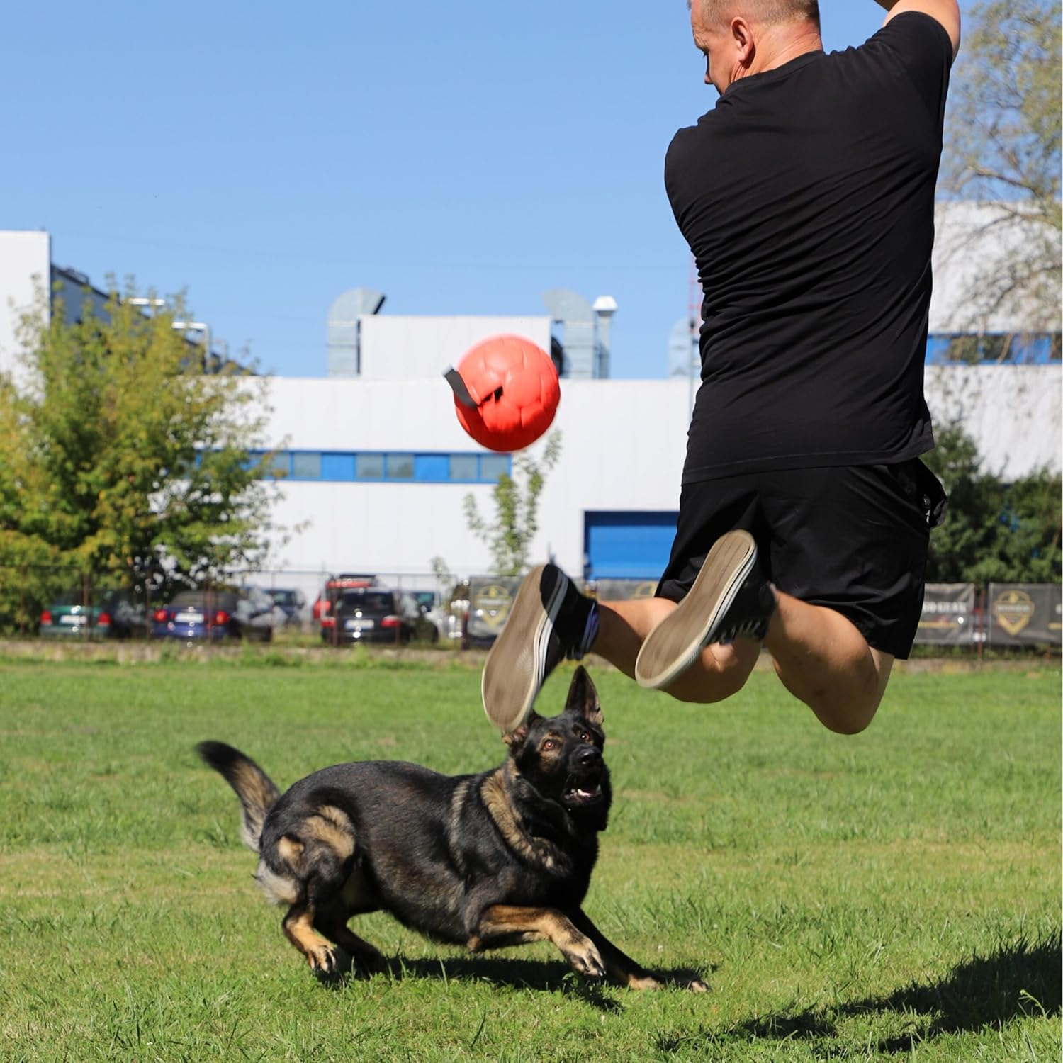 Dingo Gear Ball with Loop Filled Full Ball Made of Eco Leather Diameter of 18 Cm Dog Toy Training Ball Dog Training Fun for Dogs Orange S02698 image number 6