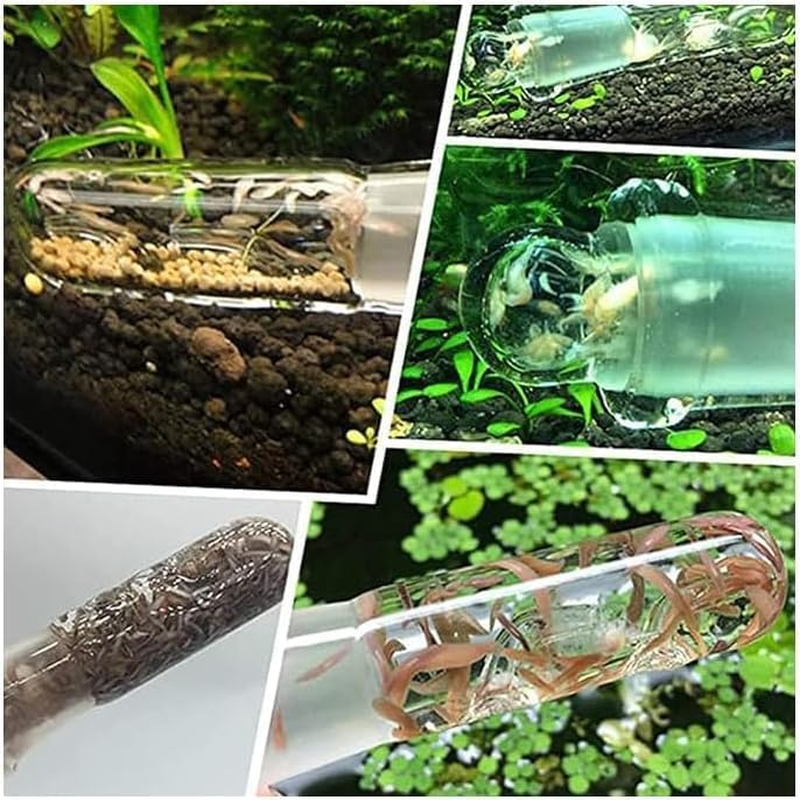 Planaria Aquarium Trap Leeches Catcher, 3Pcs Planaria Trap Shrimp Tank Aquarium Bristle Worm Leech Flatworm, Glass Leech and Bristle Worm Catcher for Shrimp Tank image number 1
