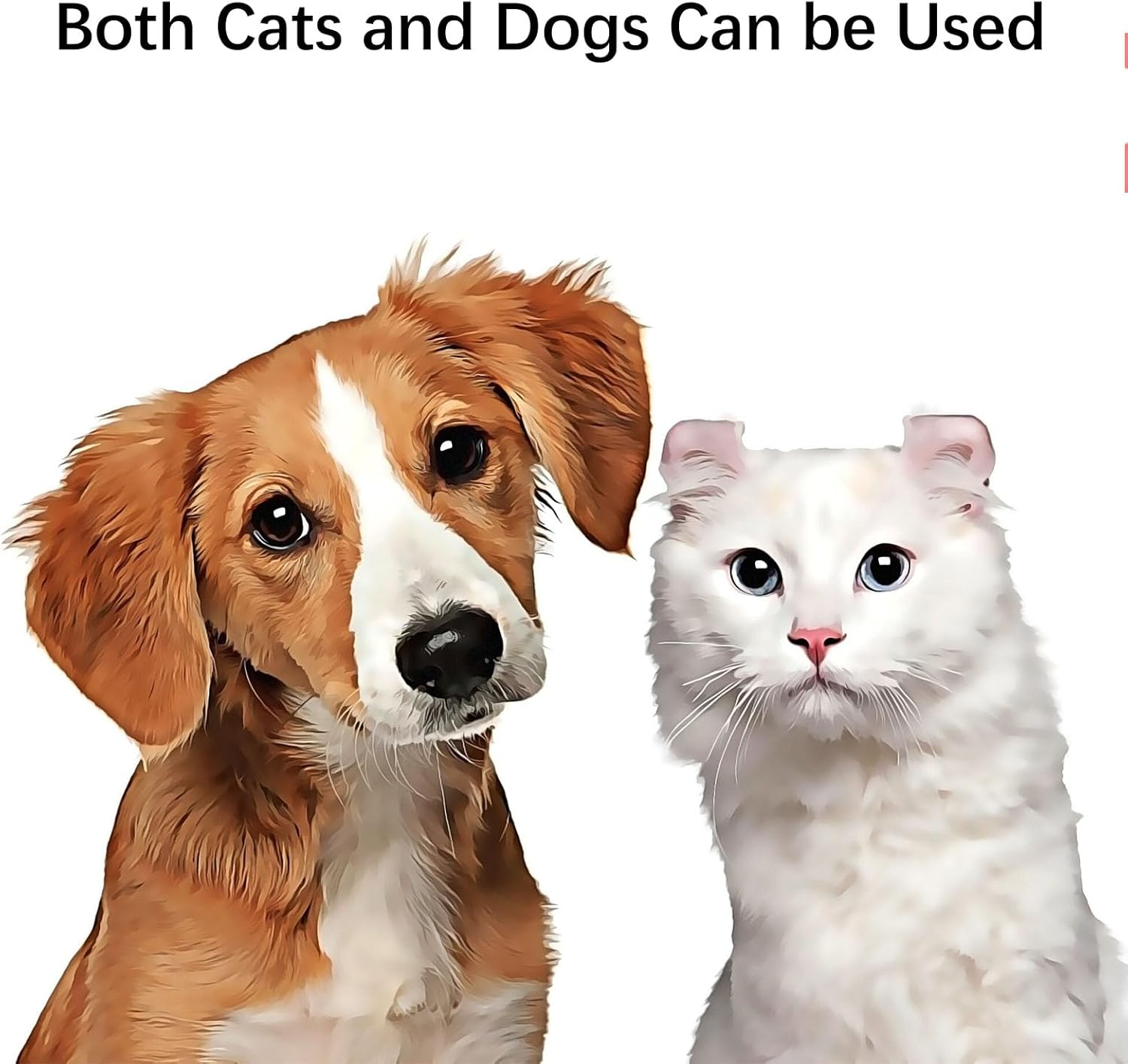 Heat Pants for Female Dogs, Protective Pants, Washable Heat Pants, Menstrual Pants for Female Dogs, Reusable Dog Nappies, Dog Trousers, Female Heat Trousers, Dog Nappies, Black image number 1