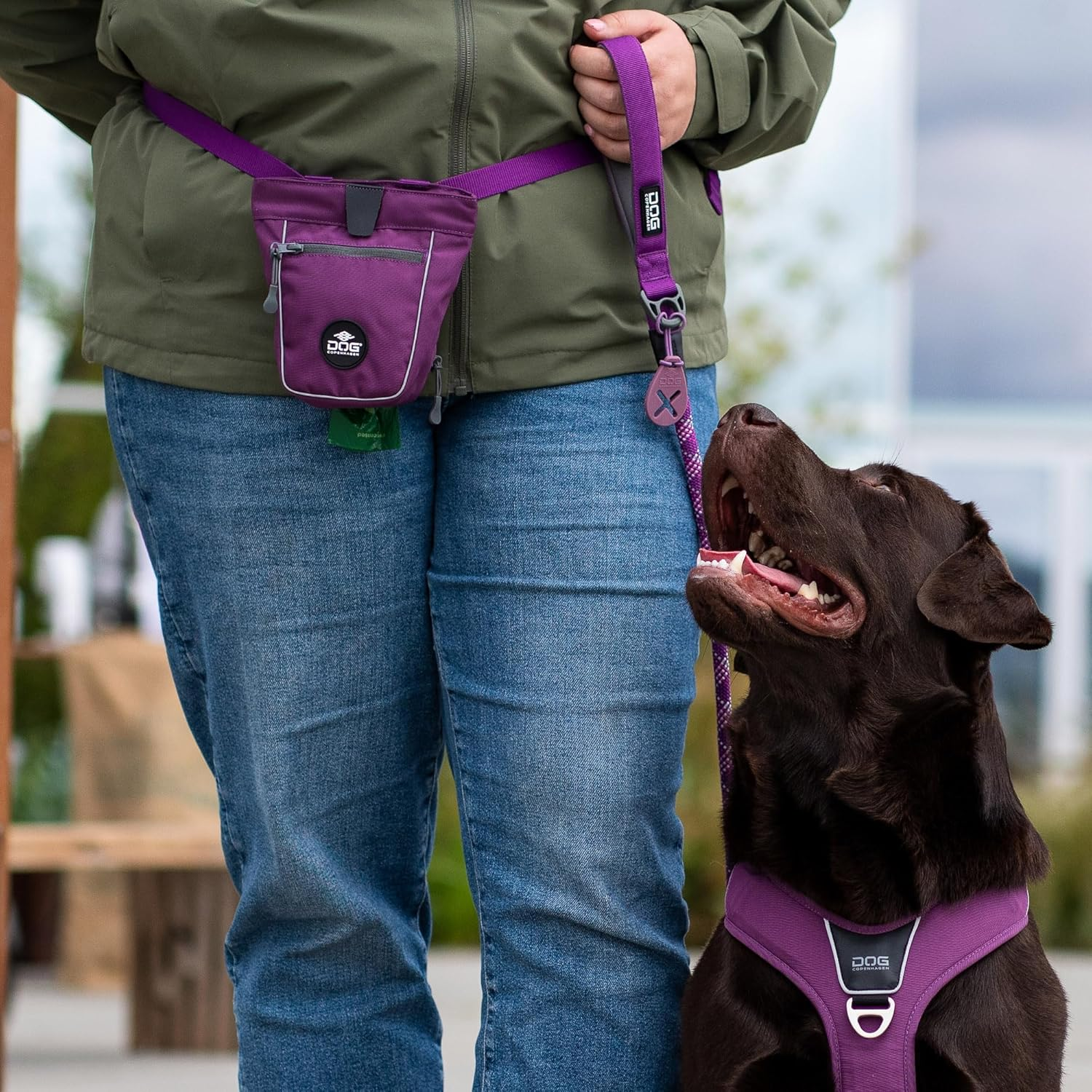 DOG Copenhagen Go Explore Treat Bag, Purple Passion, One Size image number 3