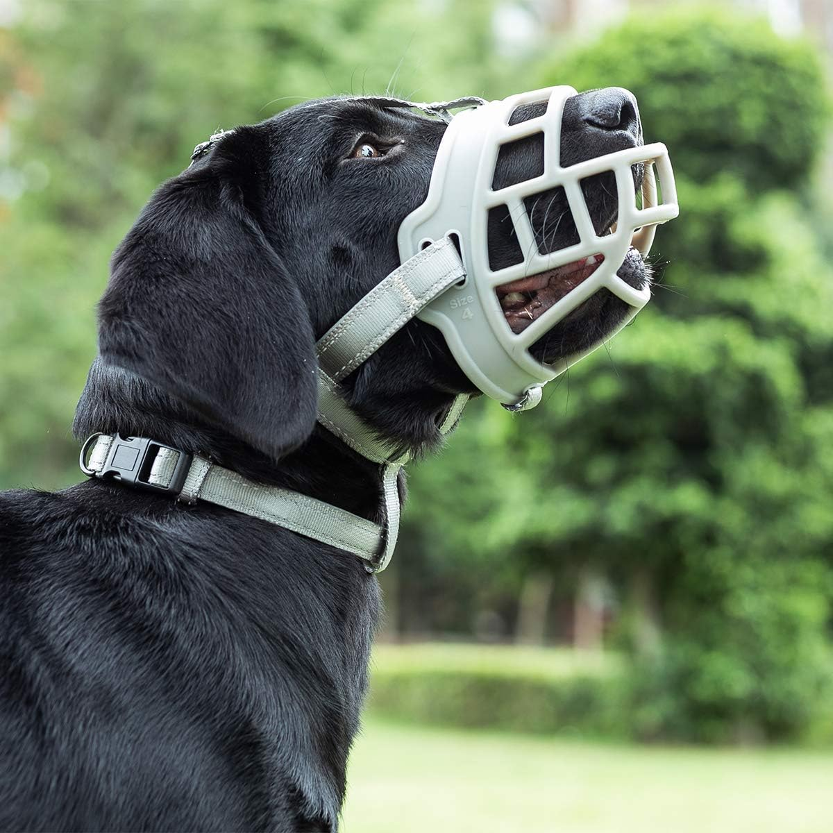 Dog Muzzle, Soft Silicone Basket Muzzle for Dogs, Allows Panting and Drinking, Prevents Unwanted Barking Biting and Chewing, Included Collar and Training Guide (1 (Snout 7-8"), Grey)