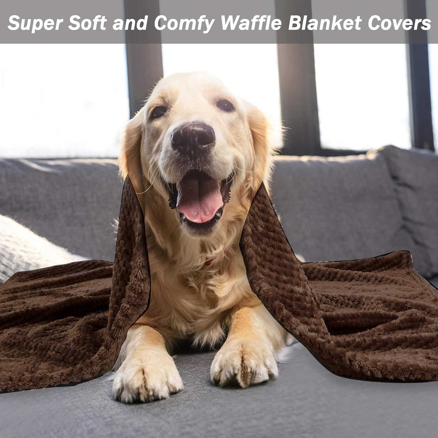 Msicyness Dog Blanket,Soft Fuzzy Blankets for Puppy, Small,Medium,Large,X-Large Premium Fluffy Blankets Plush Fleece Throw Dog Bed, Couch, Sofa, Reversible Travel Warm Covers image number 2