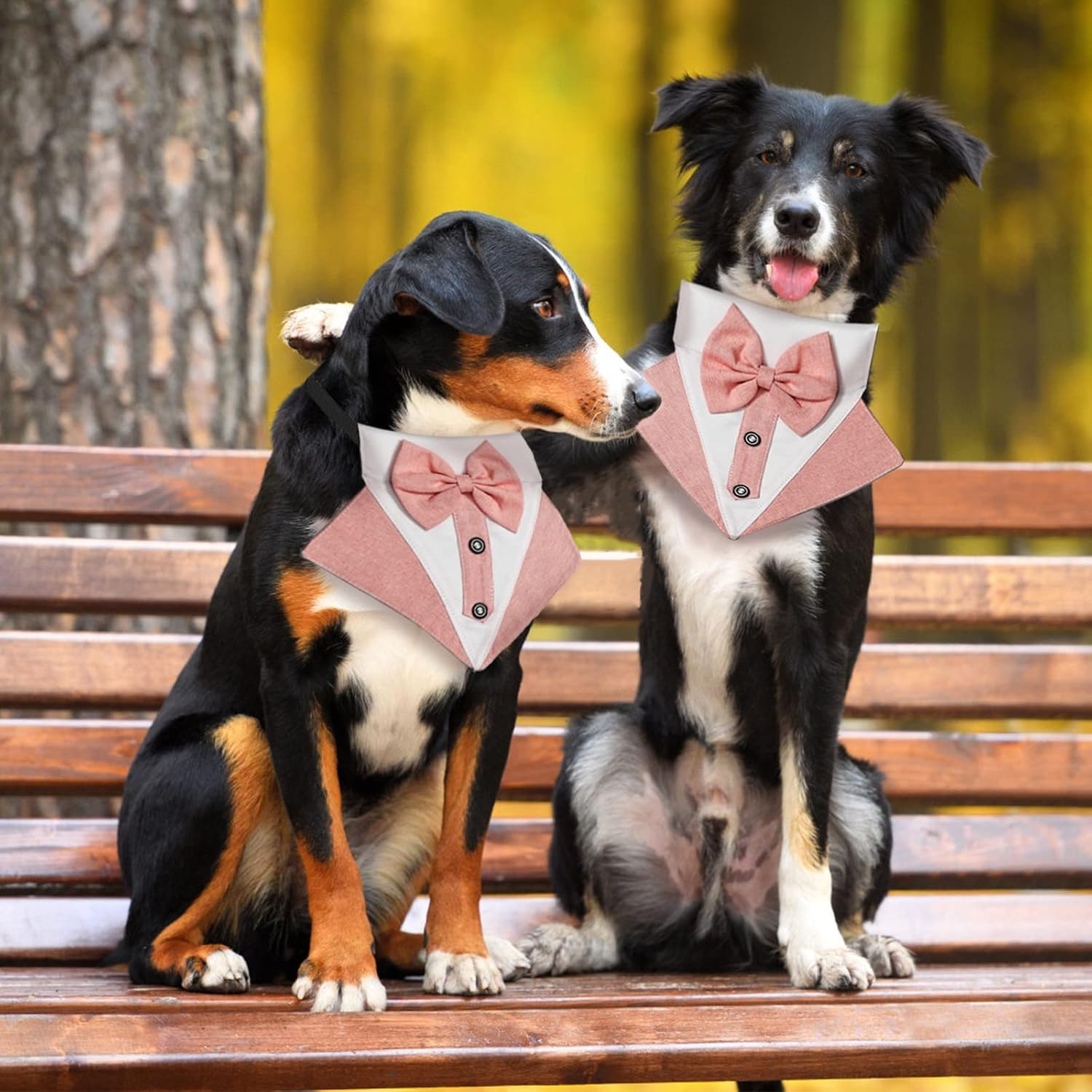 HACRAHO Formal Dog Tuxedo Bandana, 1 Piece Wedding Collar with Bowtie, Adjustable Formal Tux for Large Dogs, Pink image number 5