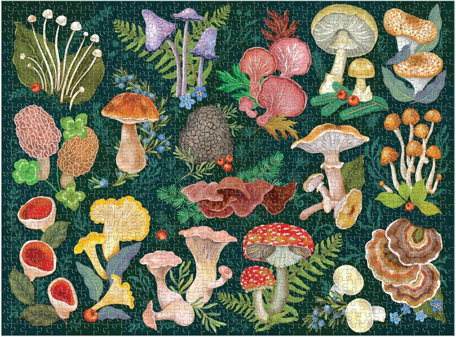 Galison 9780735382268 World of Mushrooms Puzzle (1000-Pieces) image number 4