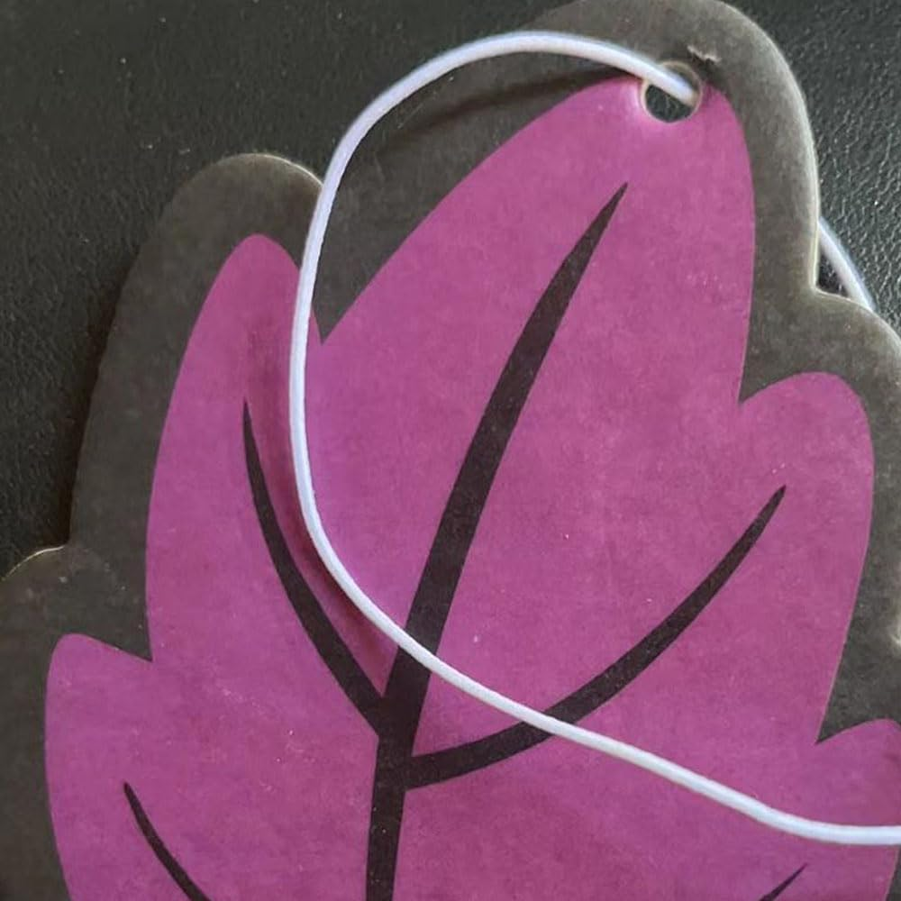 Car Air Freshener with Different Smells,9 Pcs Card Air Freshener,Hanging Paper Scent for Taxi,Car,Truck & Home,3 Colors, Random Taste image number 5