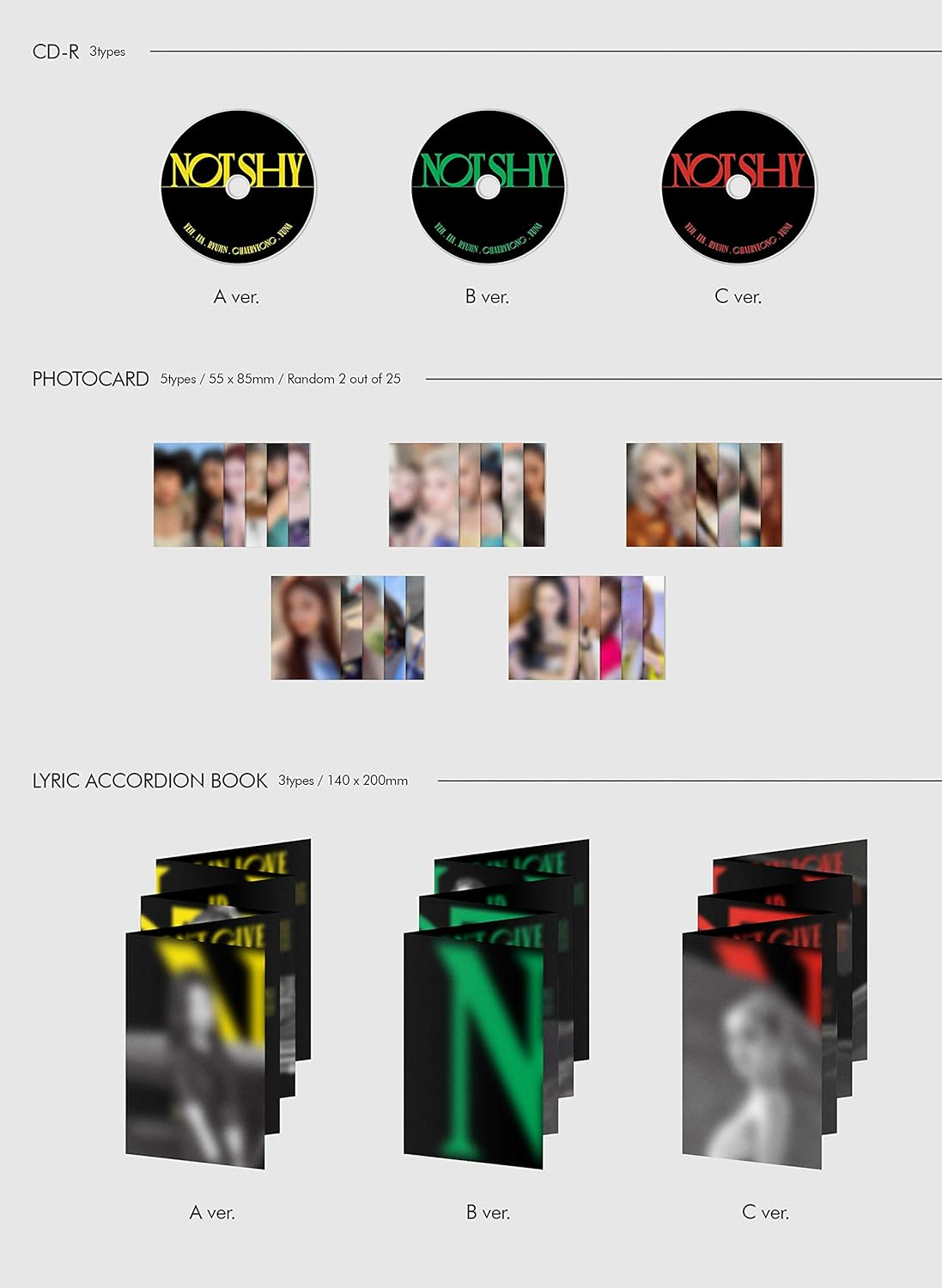 Not Shy image number 2