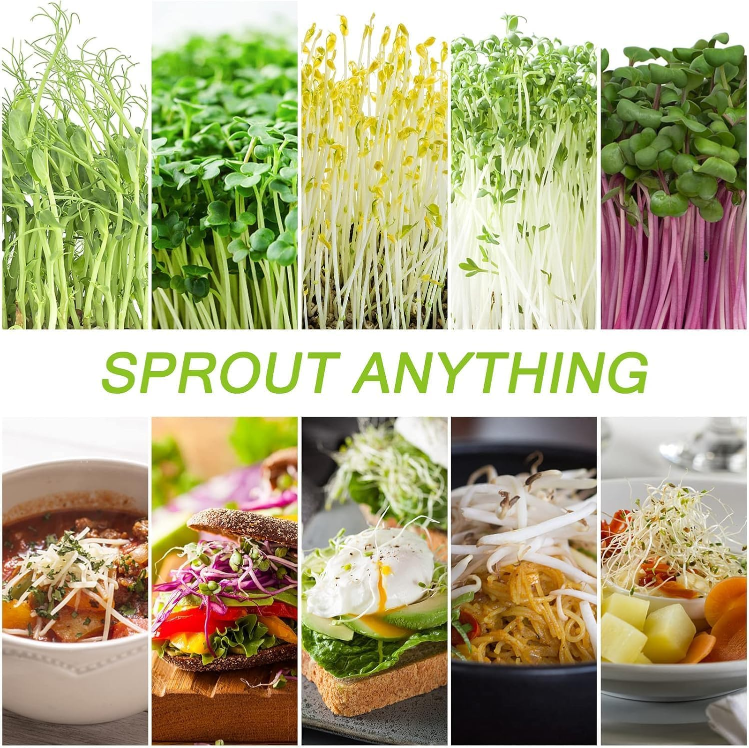 2Pcs Sprouting Jar Kit &ndash; Wide Mouth Mason Jars with Stainless Steel Lids, Stand & Tray | Organic Seed Sprouter for Broccoli, Alfalfa, Mung Beans | Healthy Home Growing Kit for Vegans & Gardeners image number 2