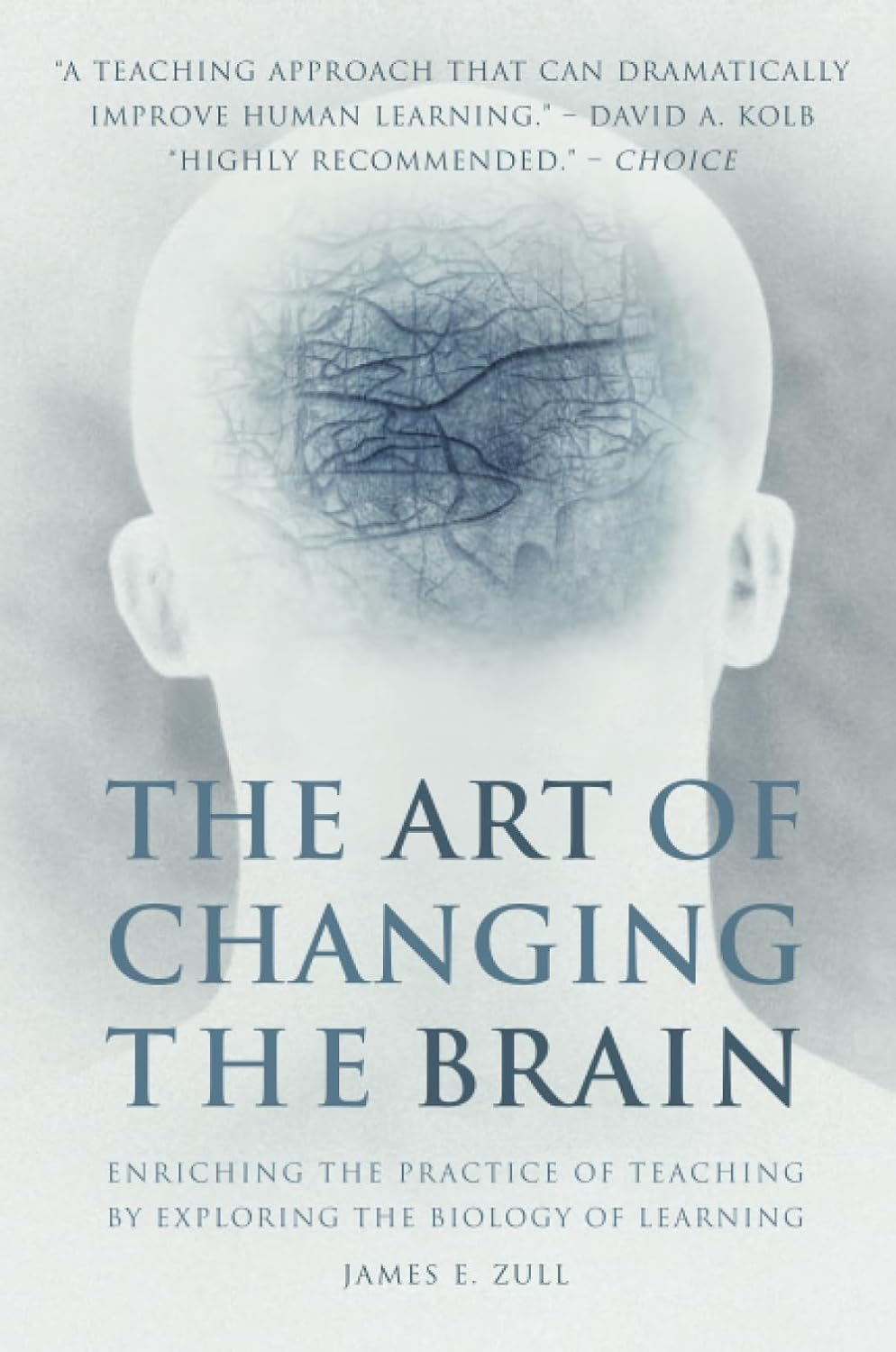 The Art of Changing the Brain: Enriching the Practice of Teaching by Exploring the Biology of Learning image number 3