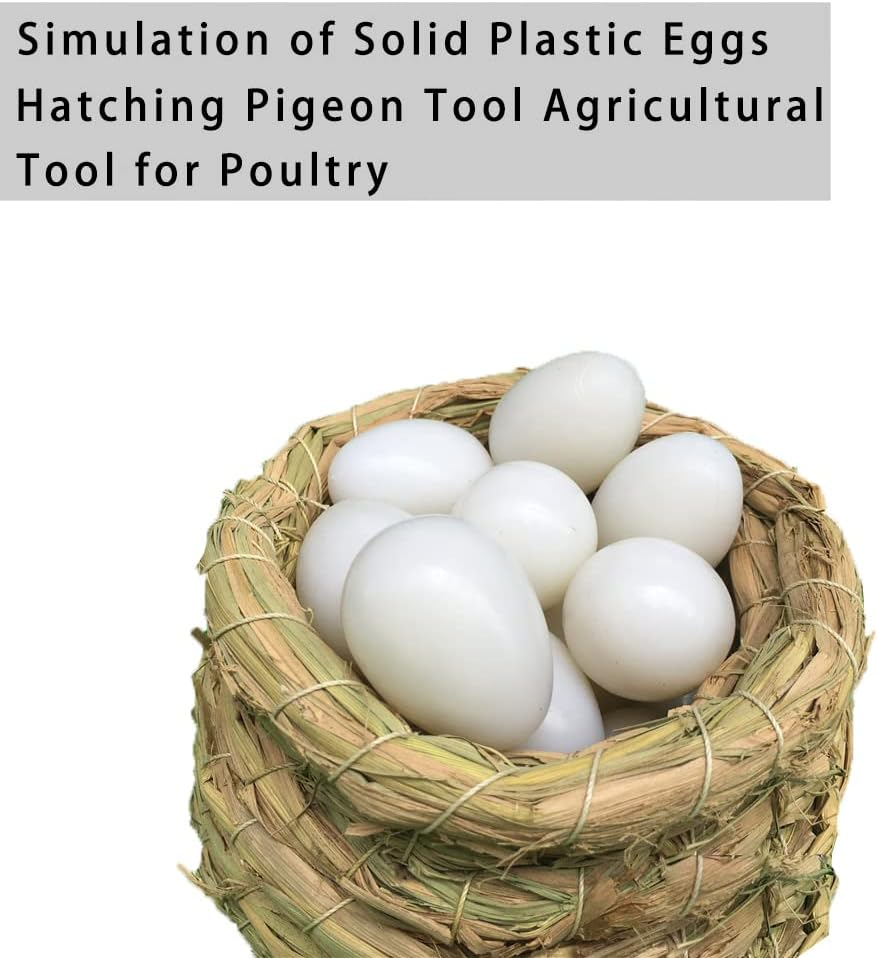 JVHLOV 20X Solid Plastic Dummy Fake Eggs, Dummy Eggs Dove, Simulation Bird Egg Bird Breeding Tool