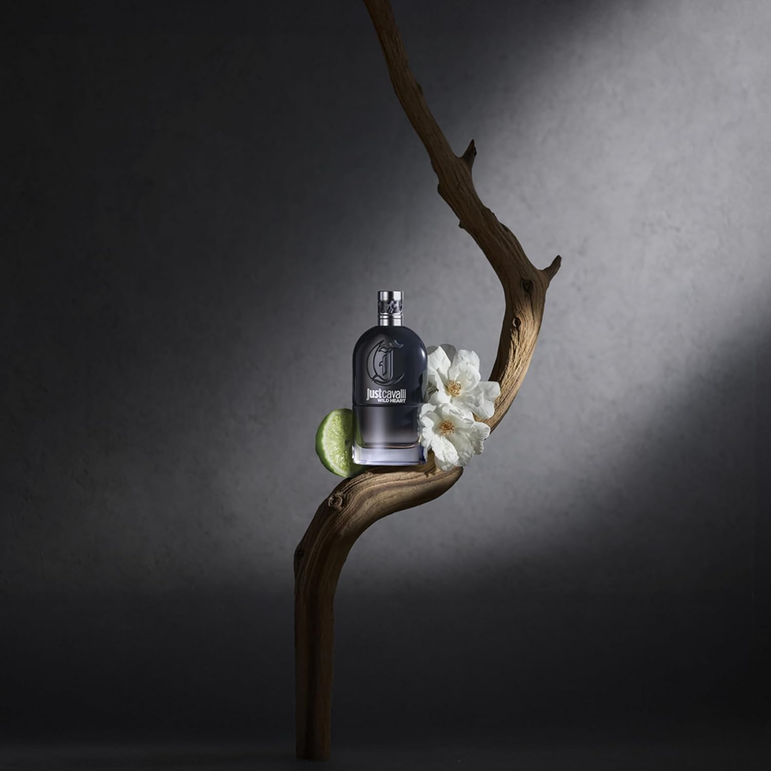 Just Cavalli Wild Heart by Roberto Cavalli for Men - 3 Oz EDT Spray image number 2