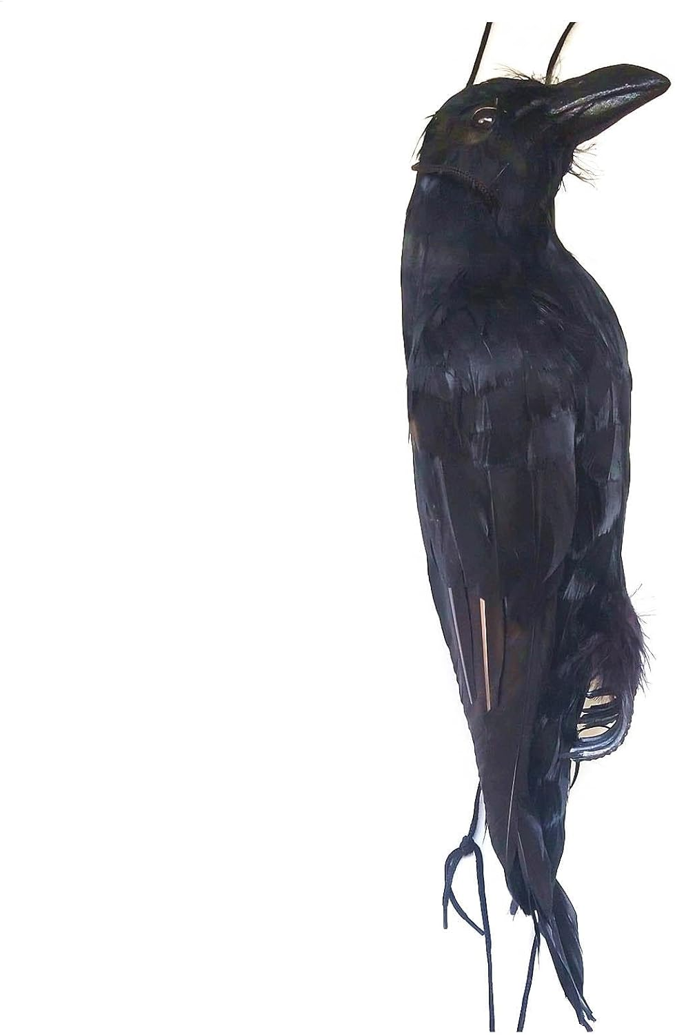 Hanging Dead Crow Bird Scarer,Crow Decoys,Rrealistic Crow Decor, Lifesize Black Feathered Crow Fake Black Crows for Garden Backyards Patios Doors Halloween Decorations image number 5