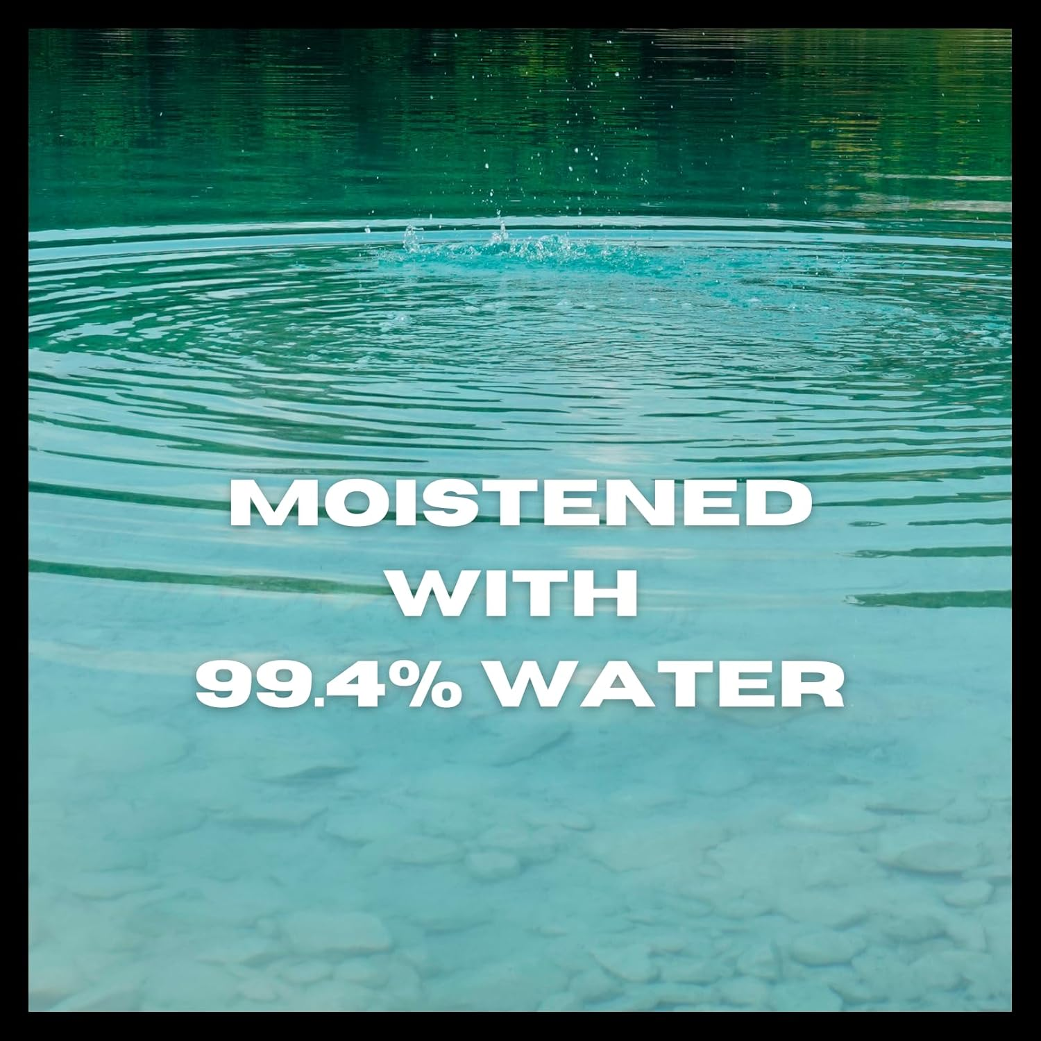 Bloke Wipes Flushable Wipes for Men &ndash; 1 Pack (40 XL Wipes) &ndash; Mint & Eucalyptus &ndash; Biodegradable Body, Bum, Face & Hygiene Wipes &ndash; Travel Friendly &ndash; Aussie Owned