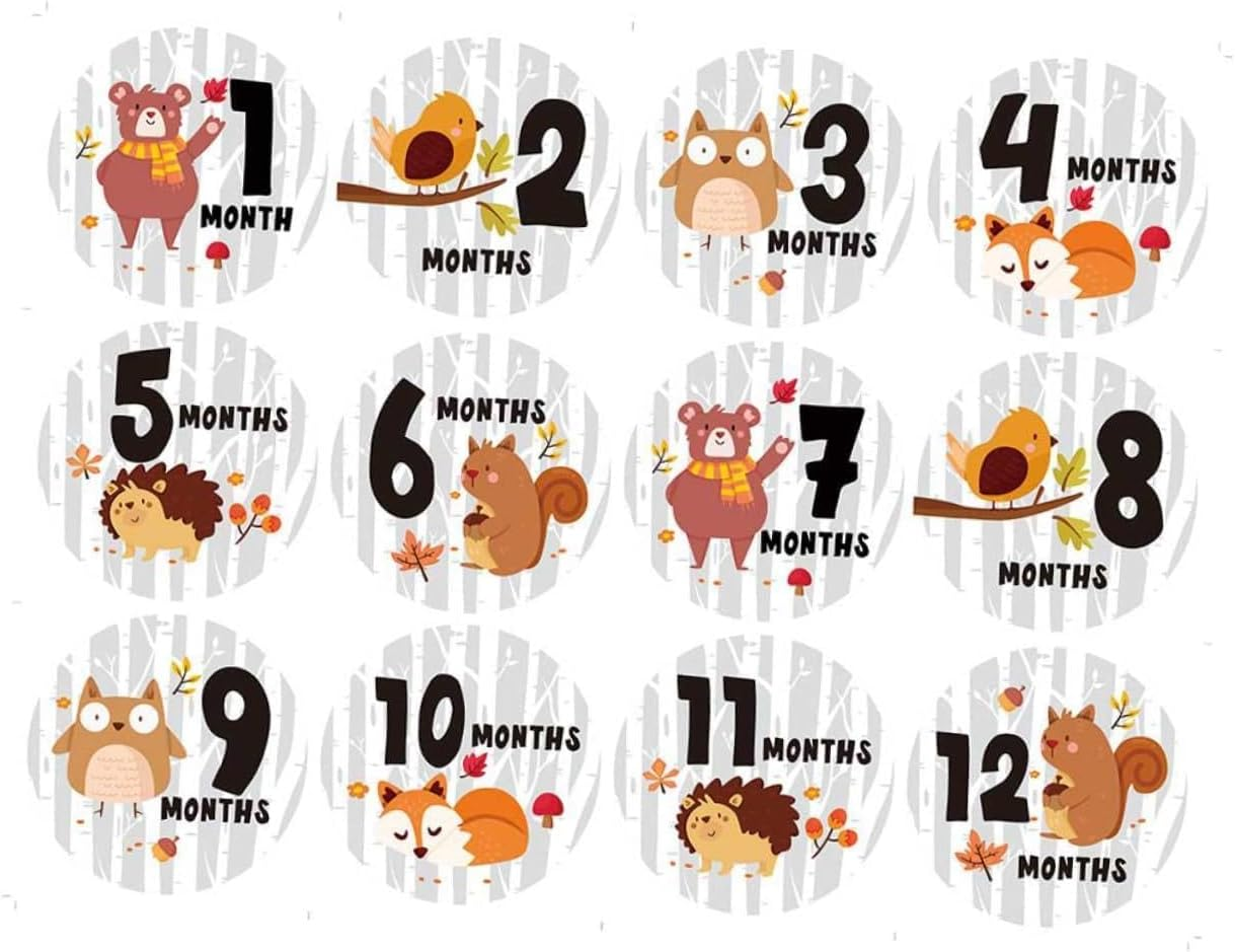12Pcs Milestone Stickers Months Newborn Photography round Shape Animal Pattern Belly Stickers image number 3