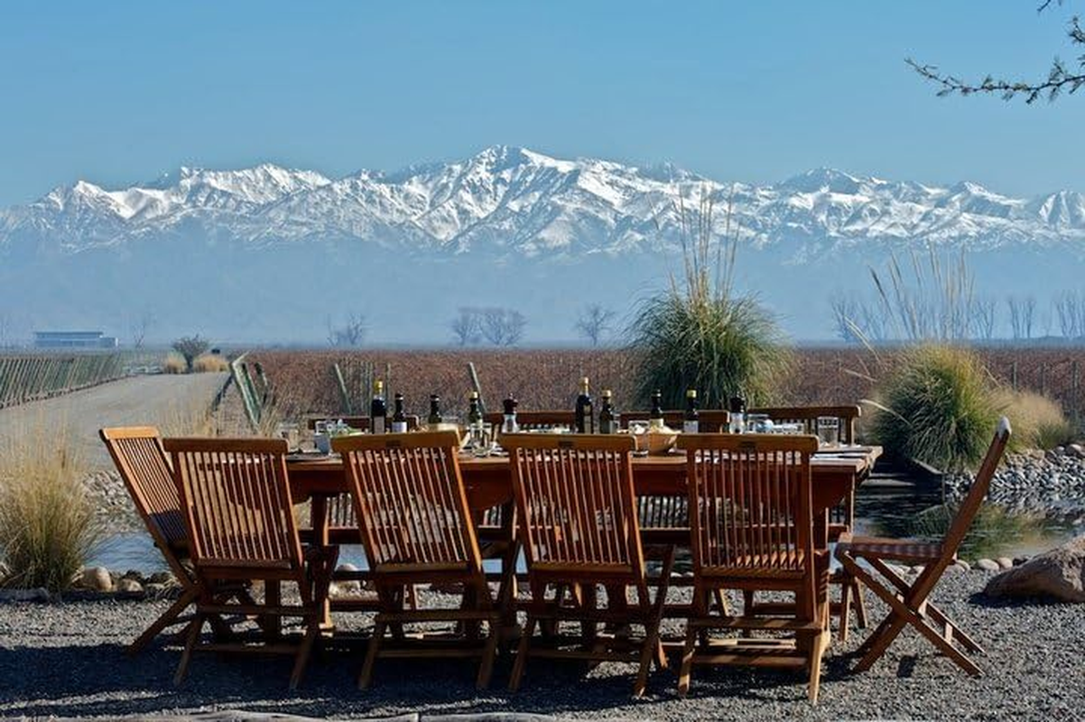 2015 Aluvi&oacute;n Vineyards Malbec Wine "Ignifugo" from the Uco Valley, Mendoza, Argentina image number 3