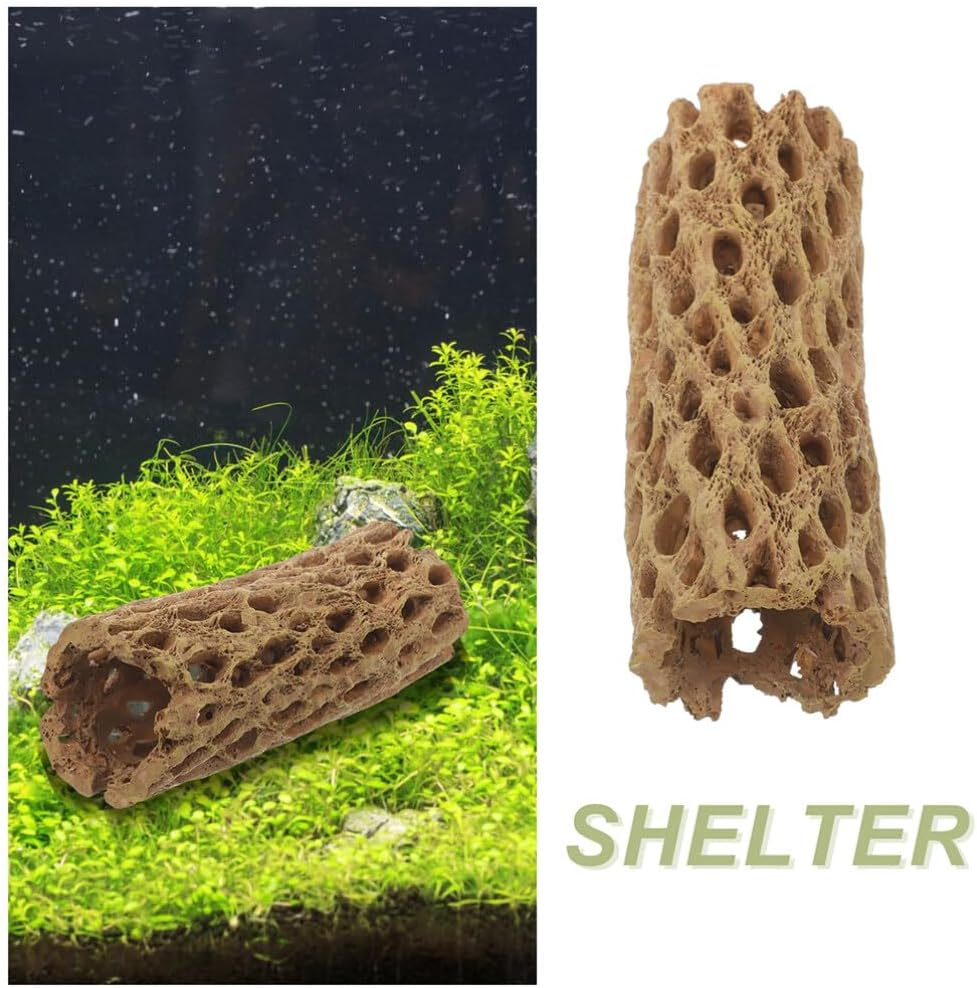Milisten 2Pcs Natural Cholla Wood Logs for Shrimp Habitat Food Treat Hermit Crabs Plecos Aquarium Decoration Lowers Ph Hideouts Chew Toys Reptiles Thorn Dried Organic
