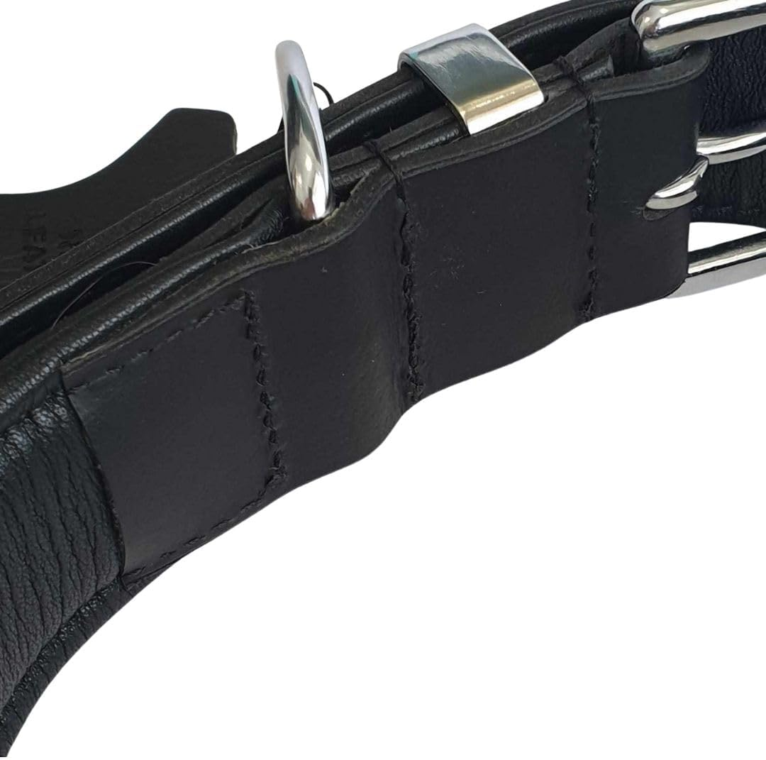 Leather Dog Collar Plain (Black & Silver) (55Cm - Neck Size 35Cm - 45Cm)